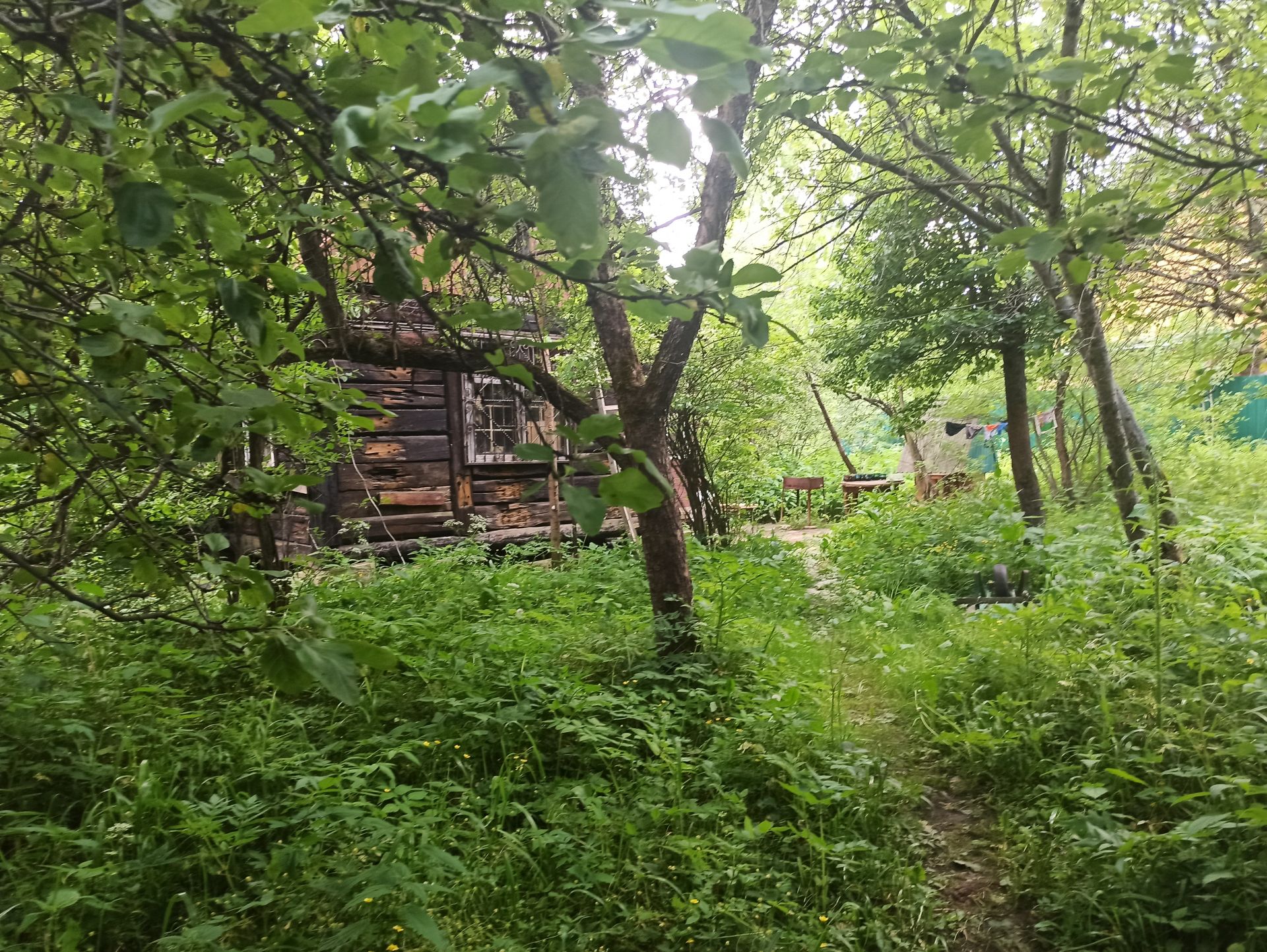 Земли поселения Московская область, Одинцовский городской округ, посёлок  Луговая – агентство недвижимости «Азбука недвижимости» Москва и МО