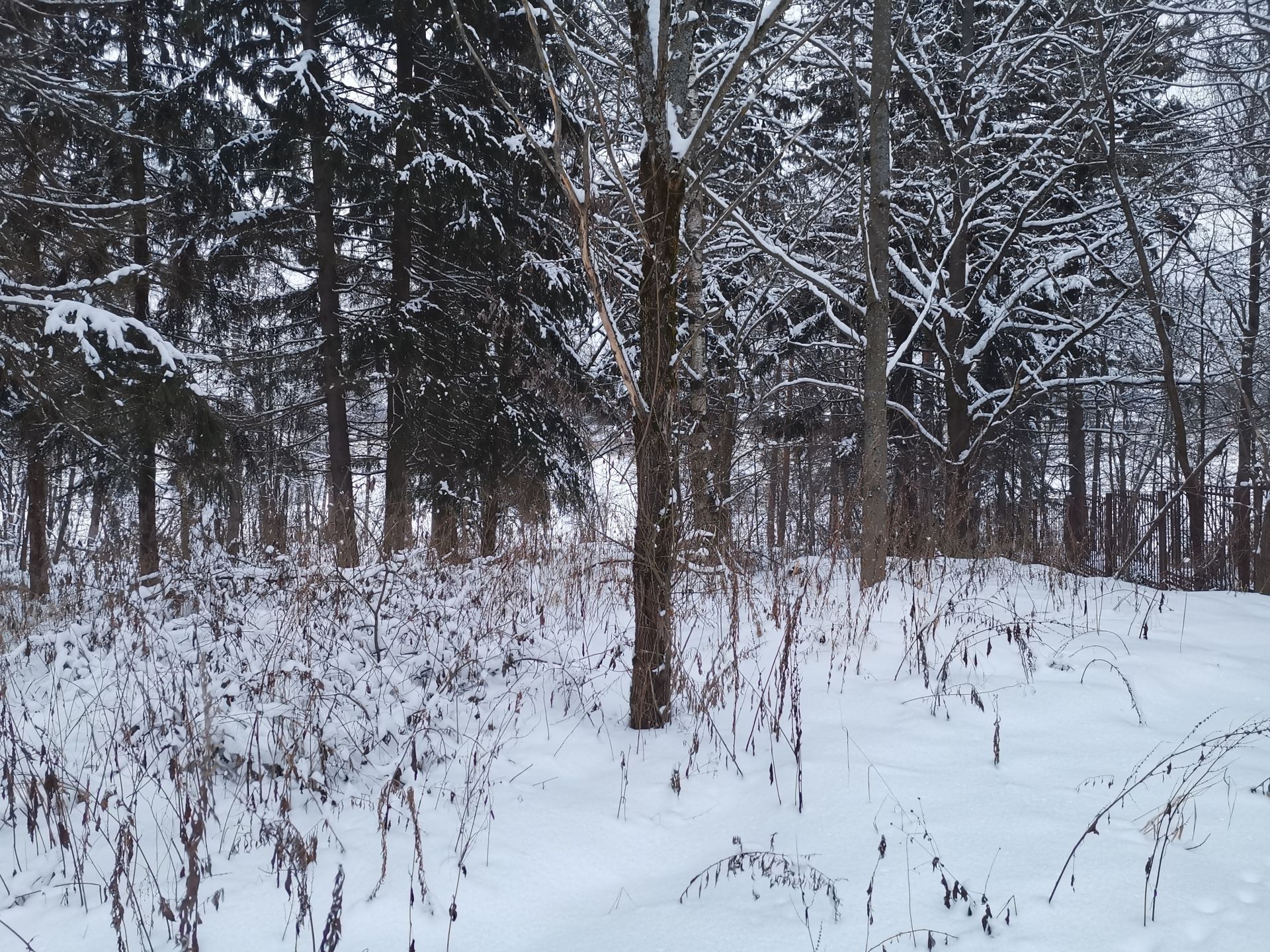 Земли поселения Московская область, Одинцовский городской округ, деревня Дарьино