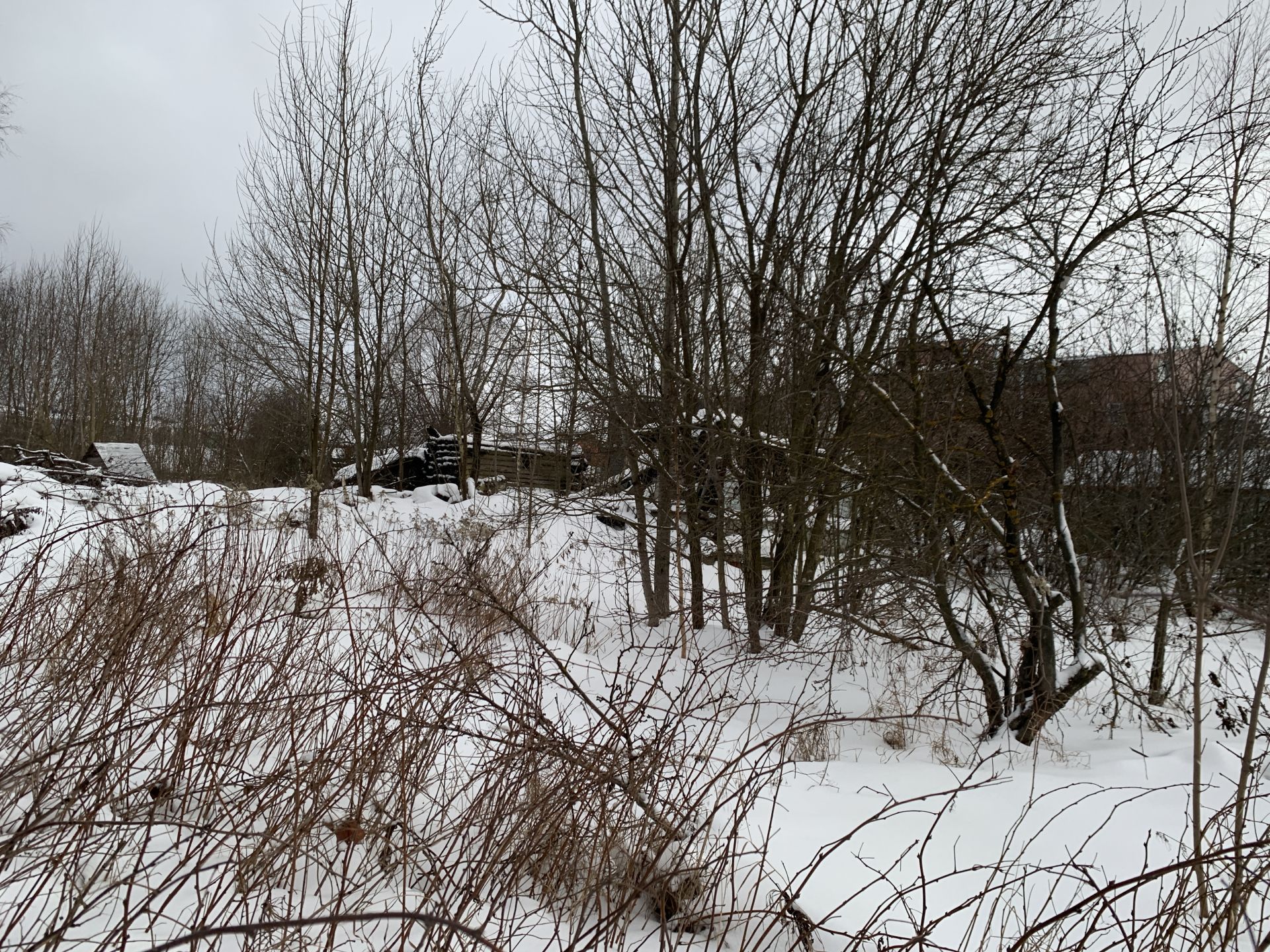 Земли поселения Московская область, городской округ Солнечногорск, деревня  Брёхово – агентство недвижимости «Азбука недвижимости» Москва и МО