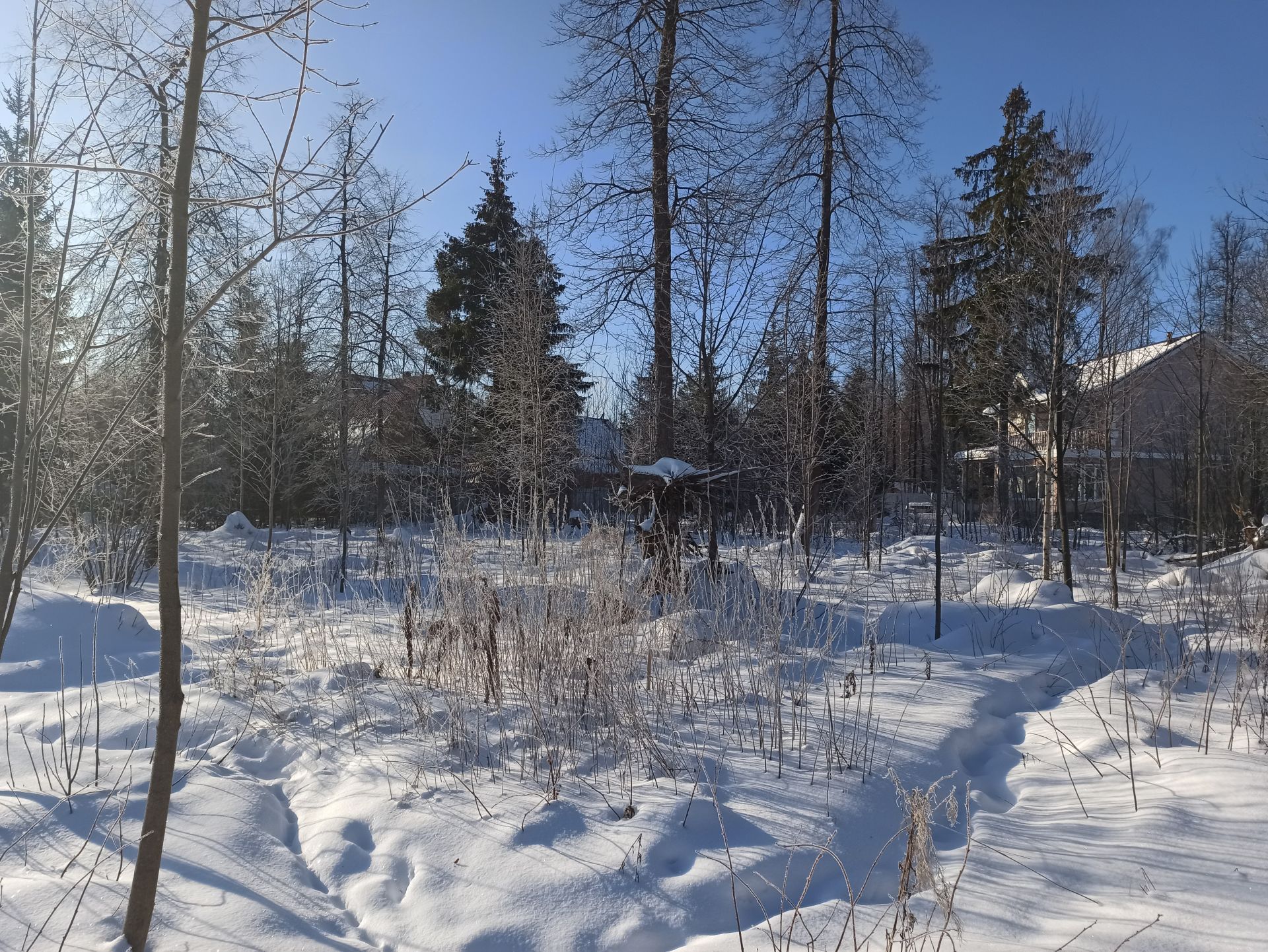Земли поселения Московская область, Одинцовский городской округ, деревня Сивково, коттеджный посёлок Зелёная Роща-1