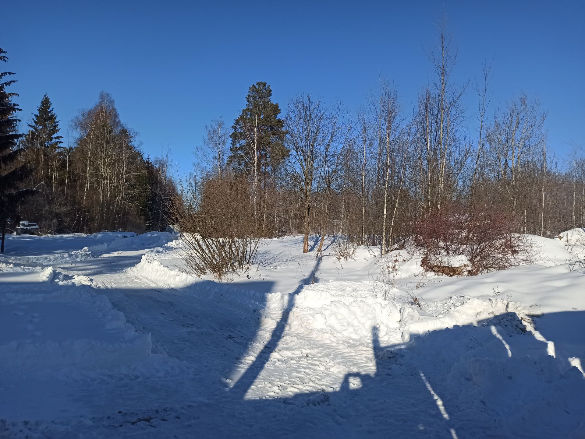 Земли поселения Московская область, Одинцовский городской округ, деревня Сивково, СНТ Поляна