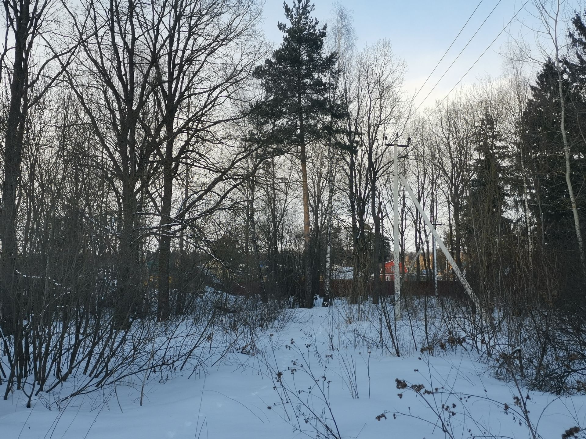 Земли поселения Московская область, Одинцовский городской округ, посёлок Покровское, улица Герцена