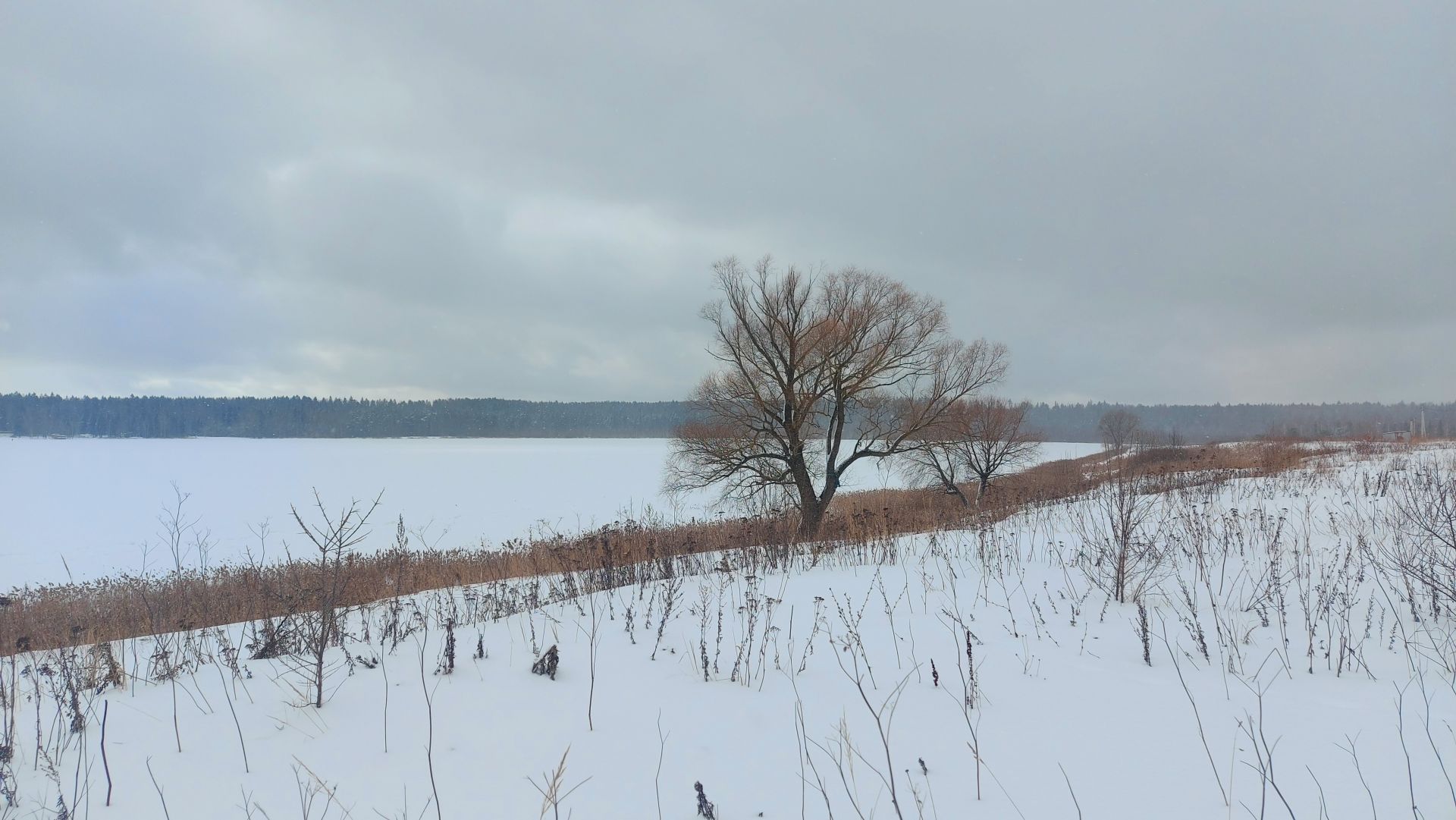 Земли поселения Московская область, Дмитровский городской округ, коттеджный посёлок Эко-квартал Озеро Круглое
