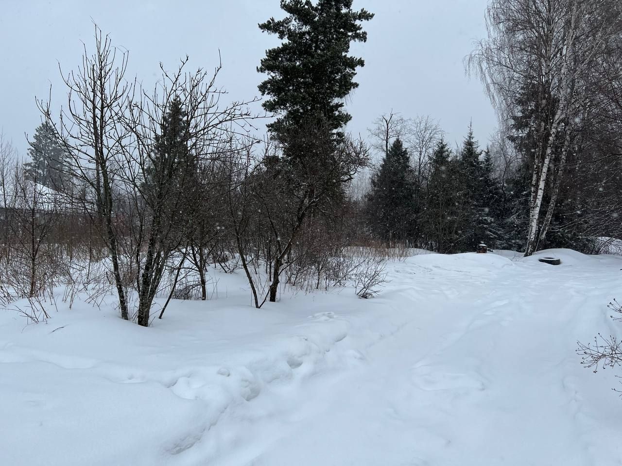 Земли сельхозназначения Московская область, городской округ Солнечногорск, СНТ Горетовка