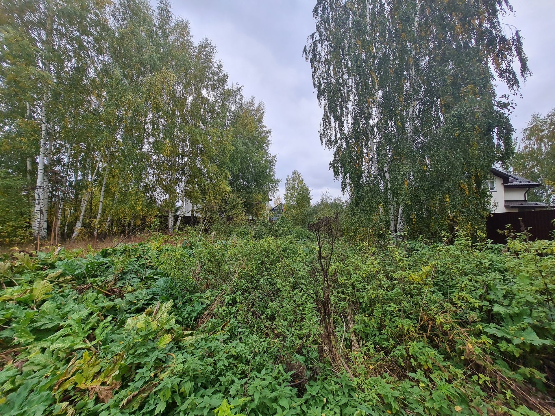 Земли сельхозназначения Московская область, Дмитровский городской округ, посёлок Овсянниково