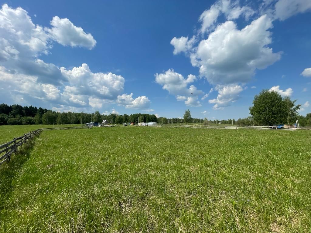Земли поселения Московская область, Рузский городской округ, деревня Берёзкино