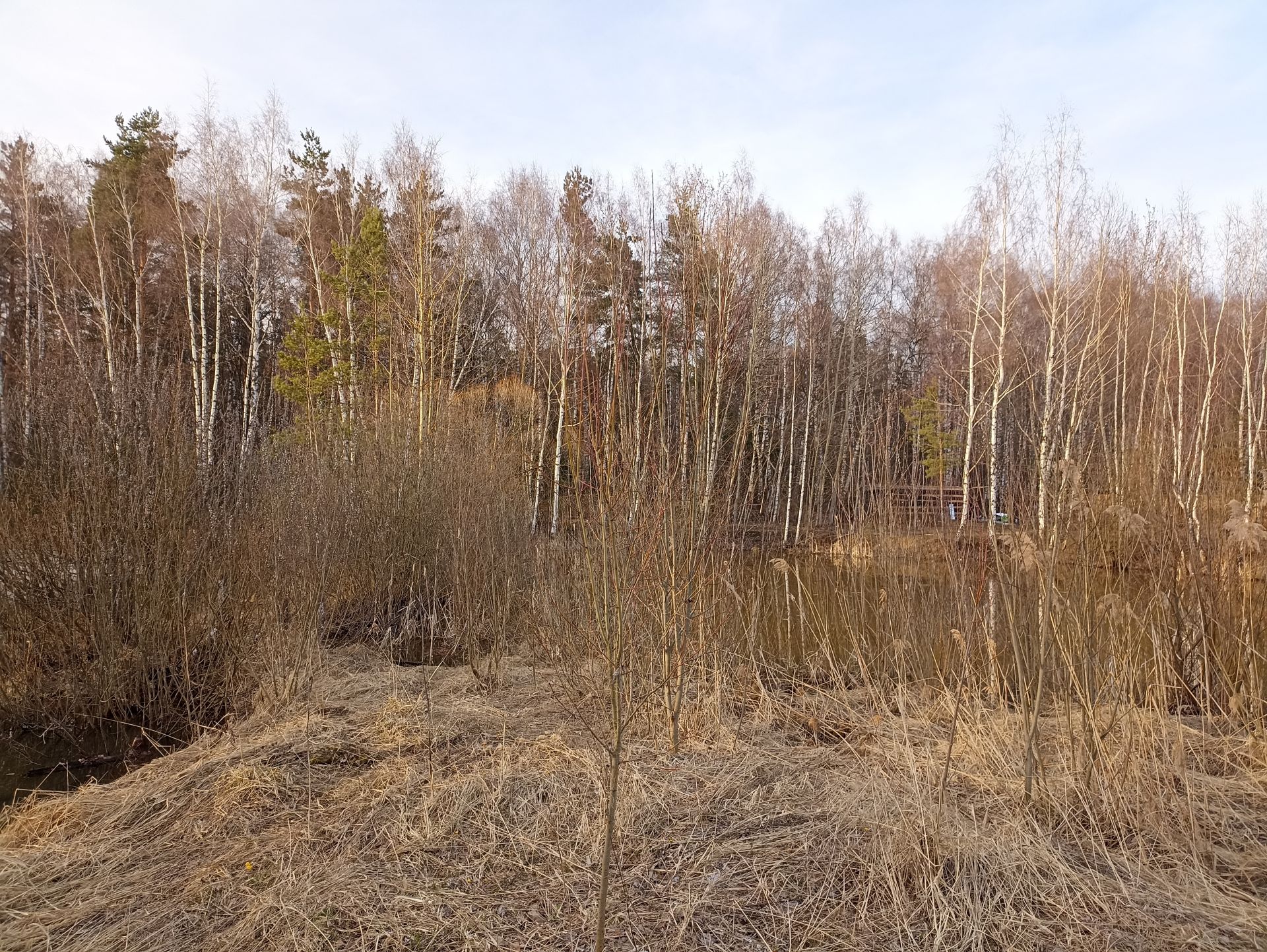 Земли поселения Московская область, городской округ Щёлково, деревня  Большие Жеребцы, Солнечная улица – агентство недвижимости «Азбука  недвижимости» Москва и МО