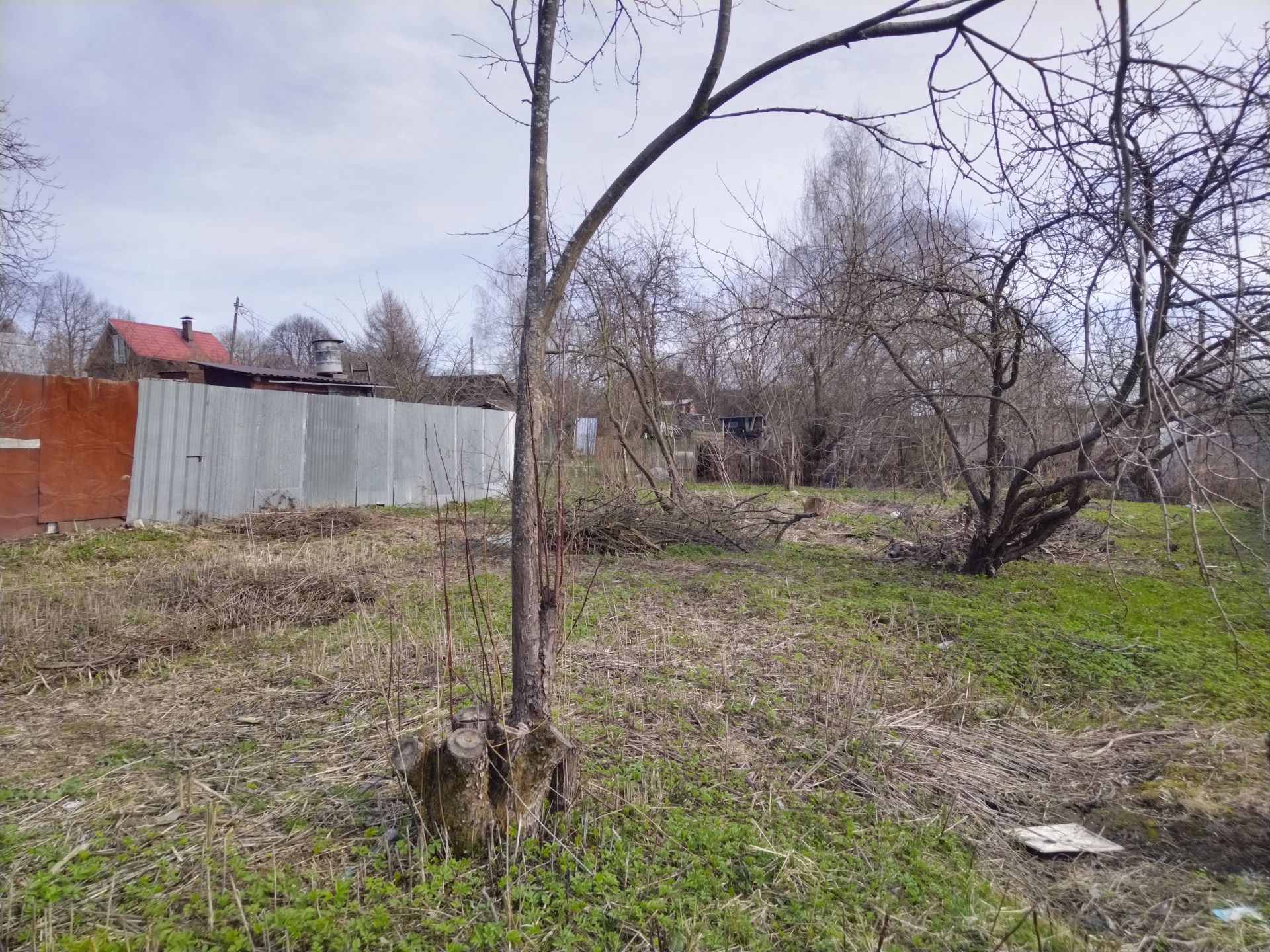 Земли поселения Московская область, городской округ Пушкинский, Ивантеевка, улица Огорхоз
