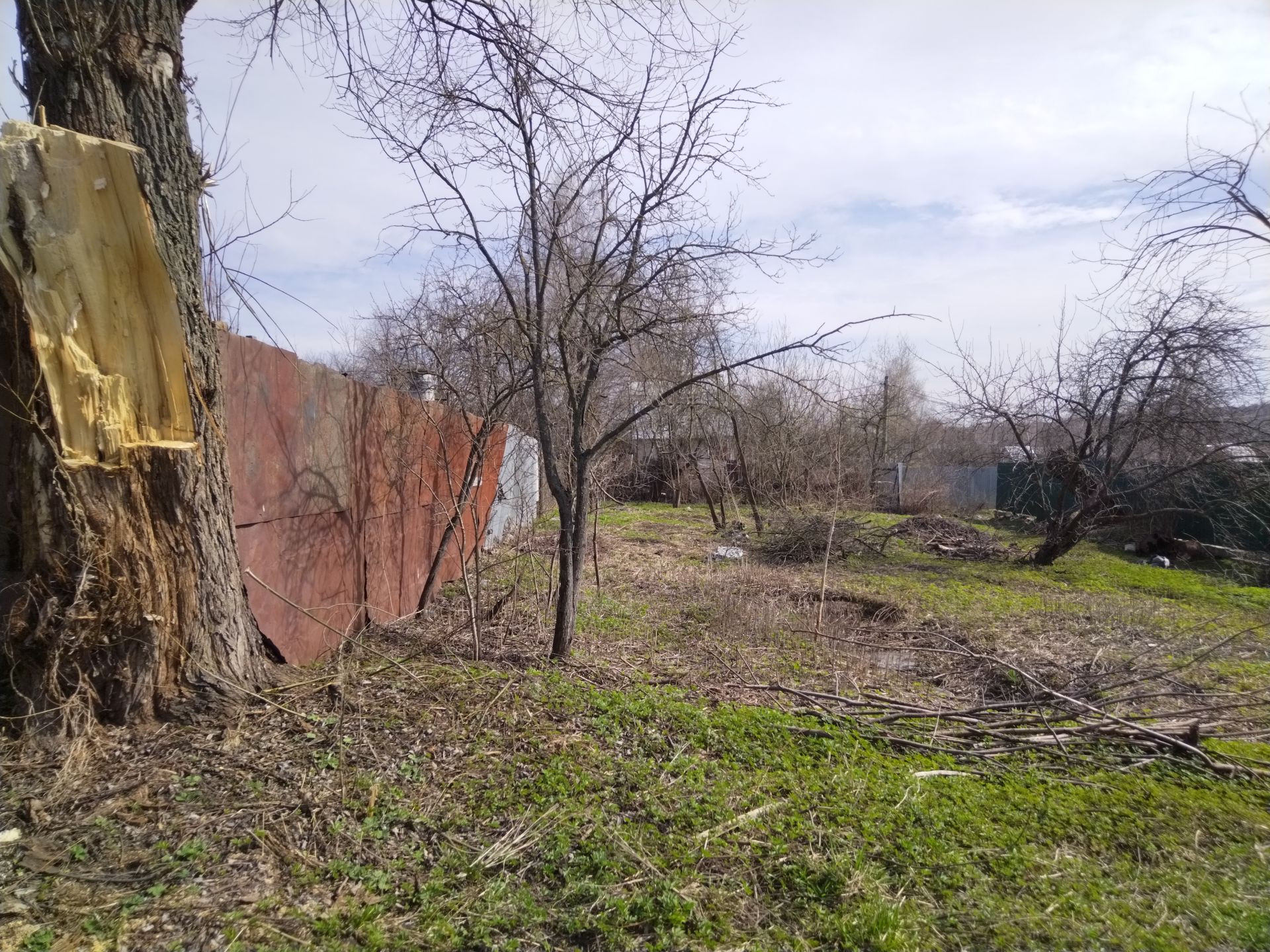 Земли поселения Московская область, городской округ Пушкинский, Ивантеевка, улица Огорхоз