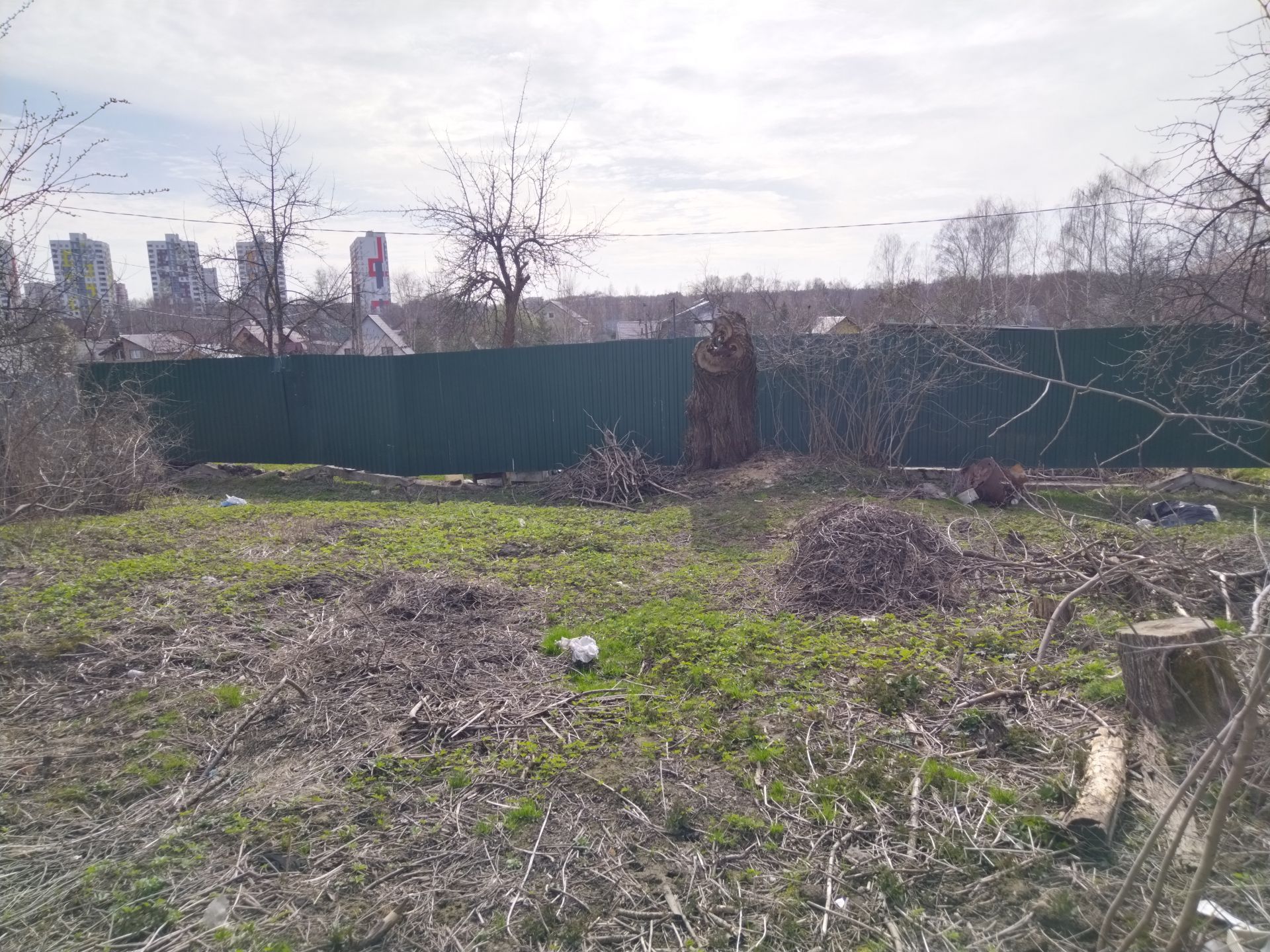 Земли поселения Московская область, городской округ Пушкинский, Ивантеевка, улица Огорхоз
