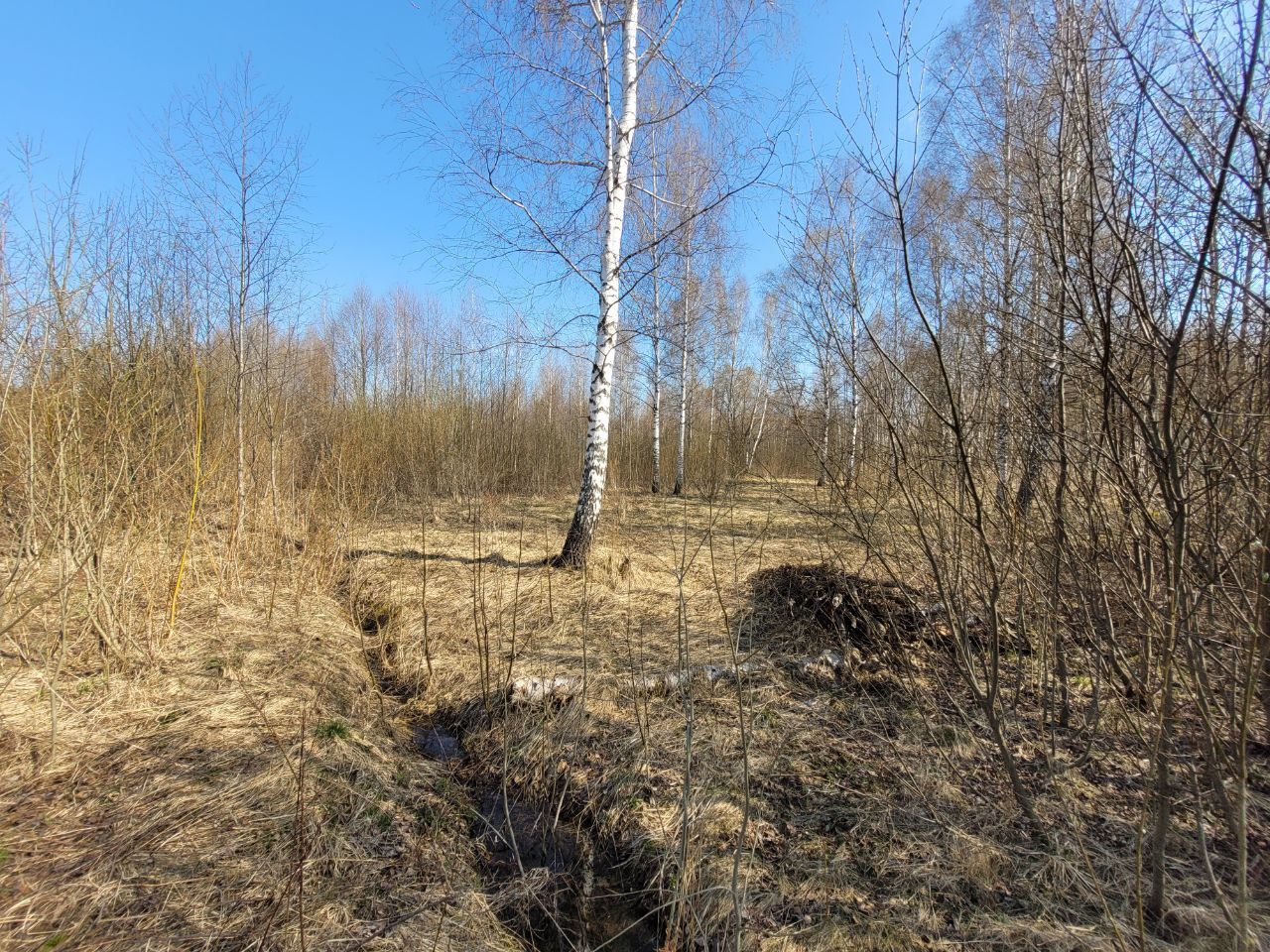 Клин земли. Парк Осиновая роща Санкт-Петербург. Парголово Осиновая роща. Осиновая роща военный городок. Дворец Вяземских в осиновой роще.