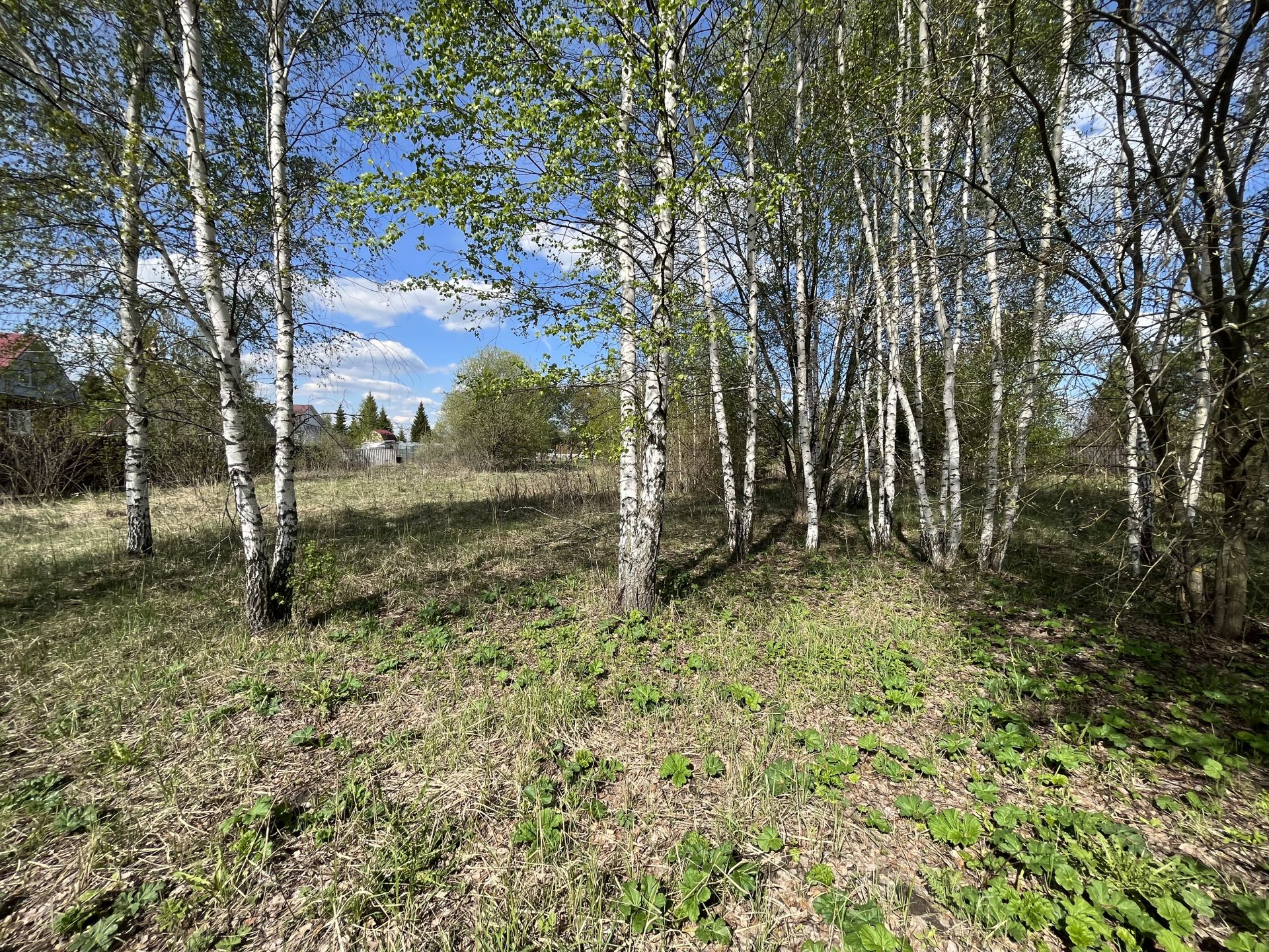 Земли поселения Московская область, Раменский городской округ, деревня  Бисерово, улица Ленина – агентство недвижимости «Азбука недвижимости»  Москва и МО