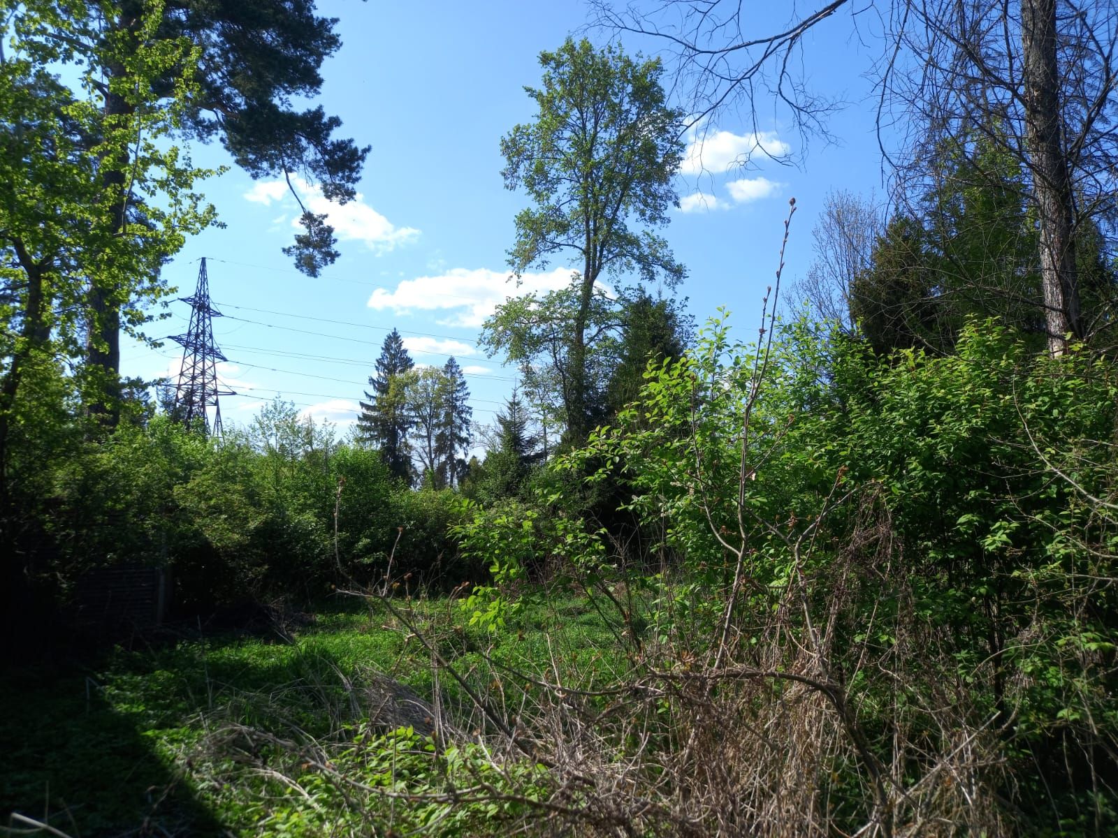 Земли поселения Московская область, Одинцовский городской округ ...