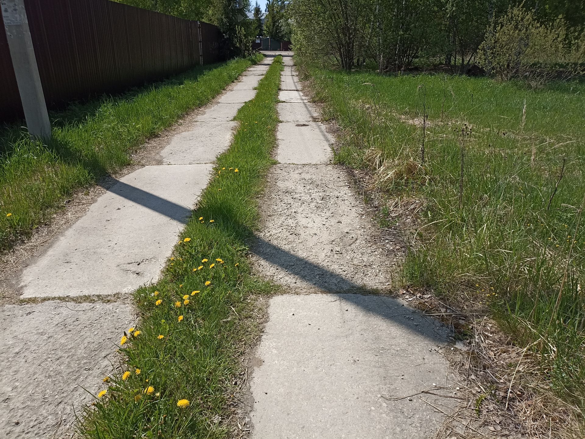 Земли поселения Московская область, Раменский городской округ, деревня Булгаково