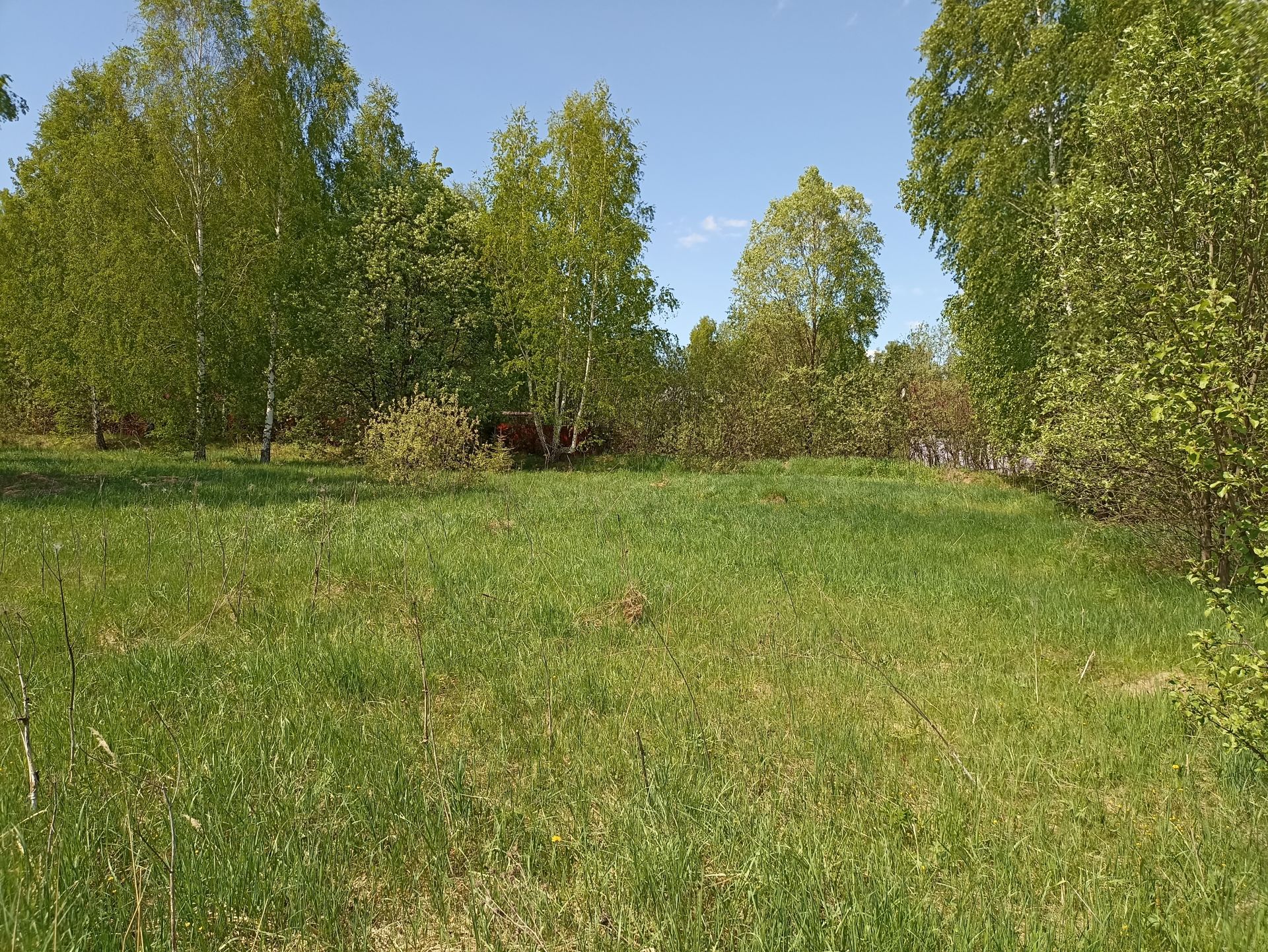 Земли поселения Московская область, Раменский городской округ, деревня Булгаково