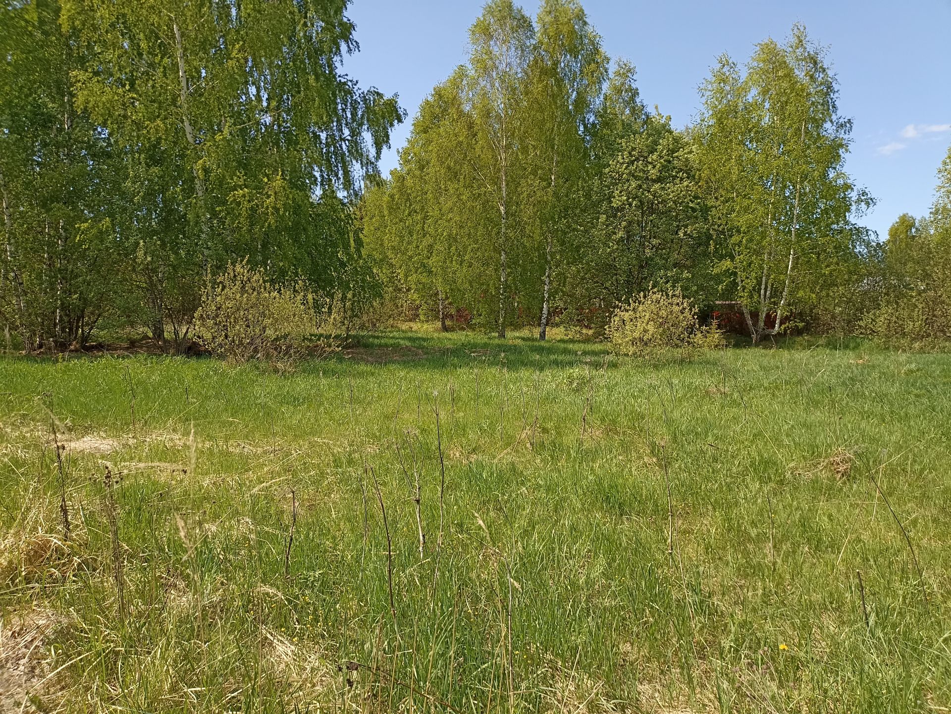Земли поселения Московская область, Раменский городской округ, деревня Булгаково
