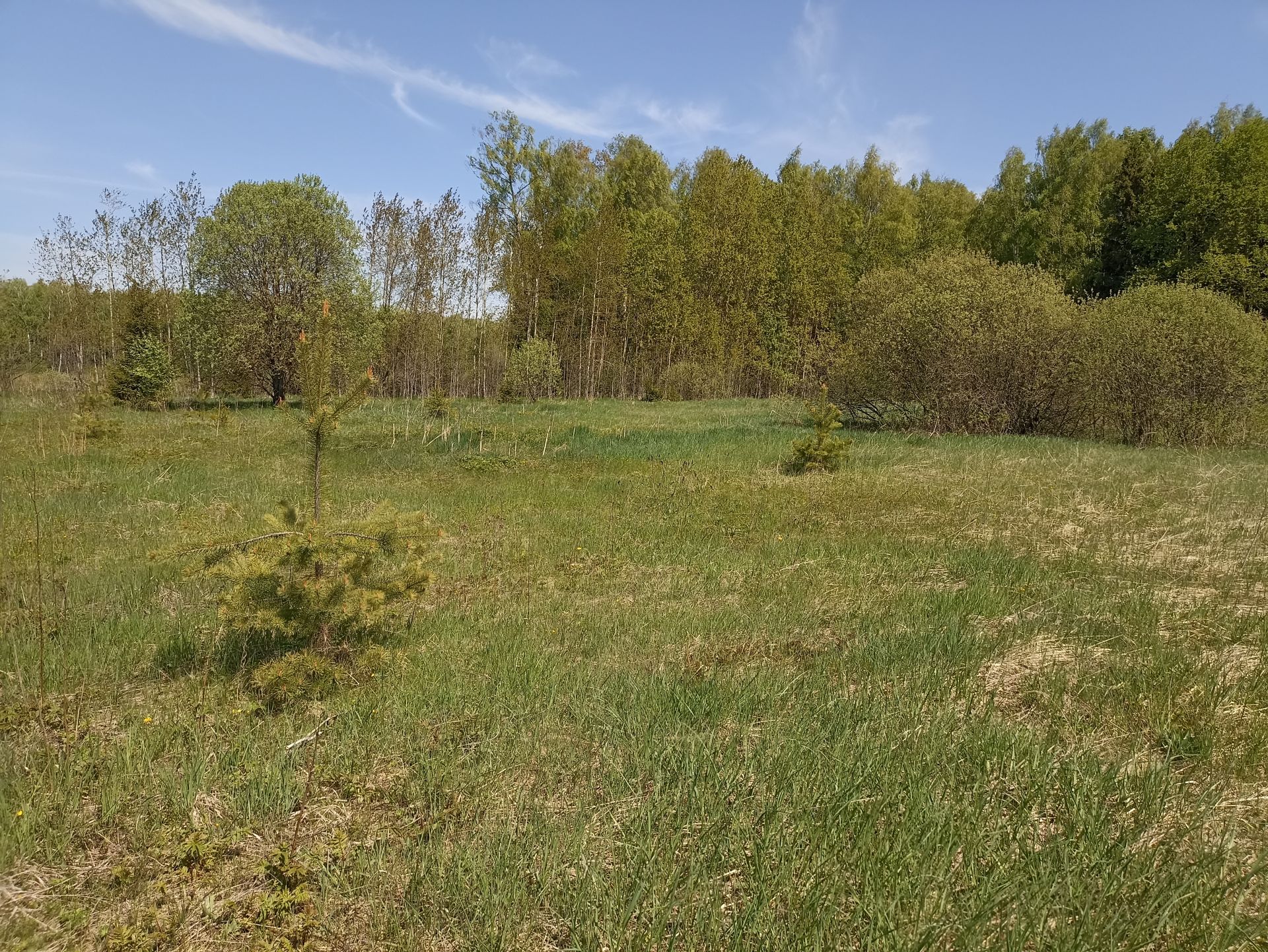 Земли поселения Московская область, Раменский городской округ, деревня Булгаково