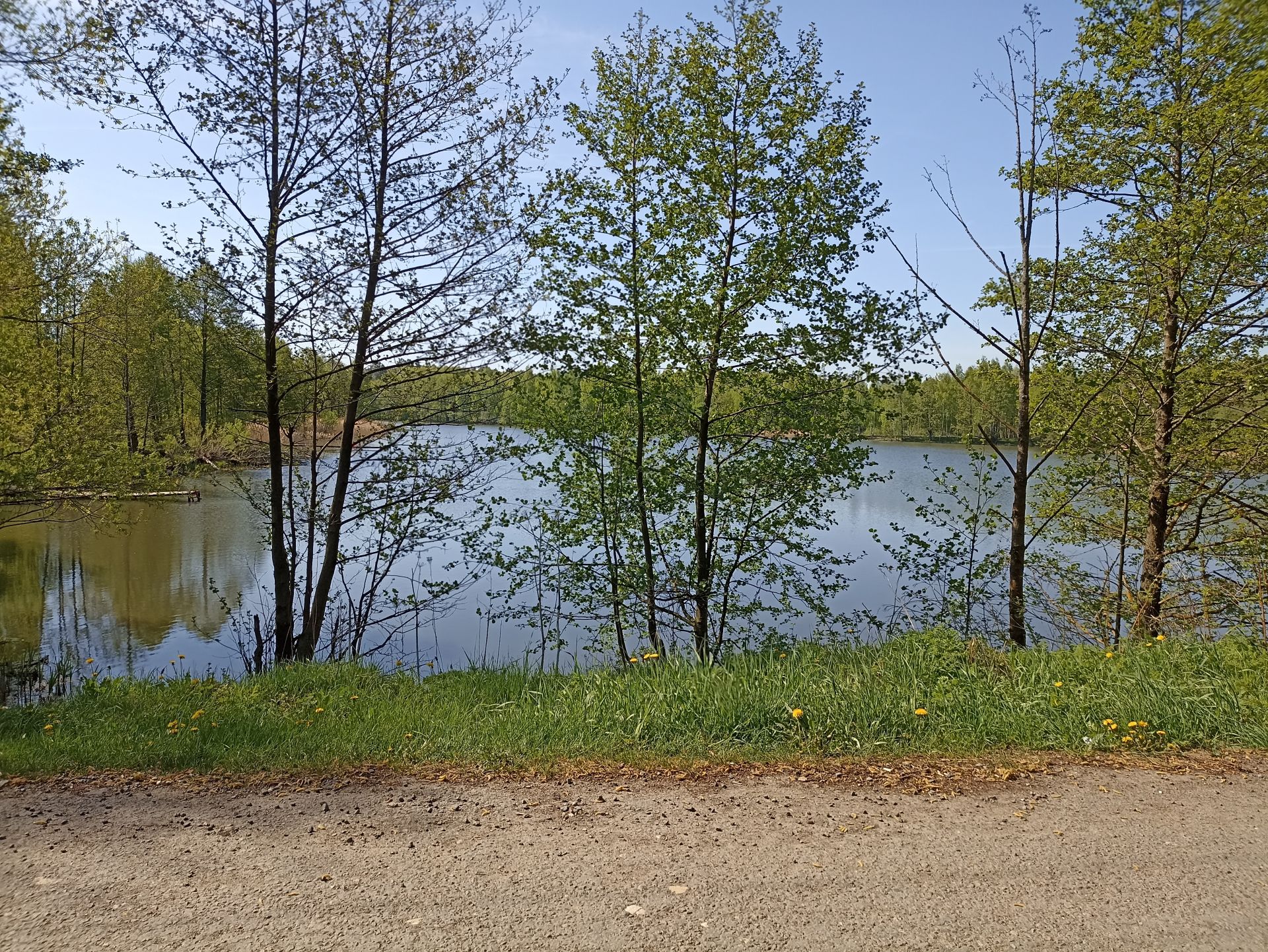 Земли поселения Московская область, Раменский городской округ, деревня  Булгаково – агентство недвижимости «Азбука недвижимости» Москва и МО