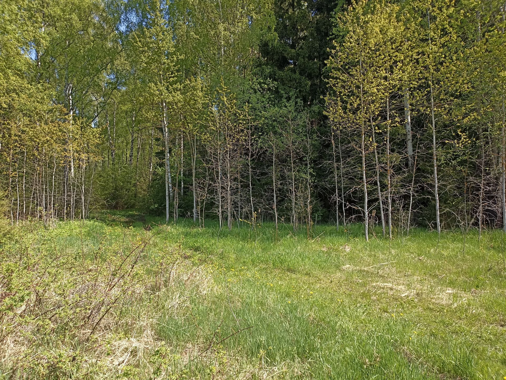 Земли поселения Московская область, Раменский городской округ, деревня  Булгаково – агентство недвижимости «Азбука недвижимости» Москва и МО