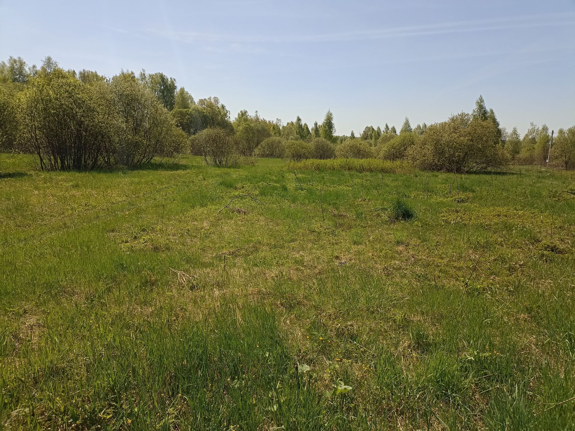 Земли поселения Московская область, Раменский городской округ, деревня Булгаково