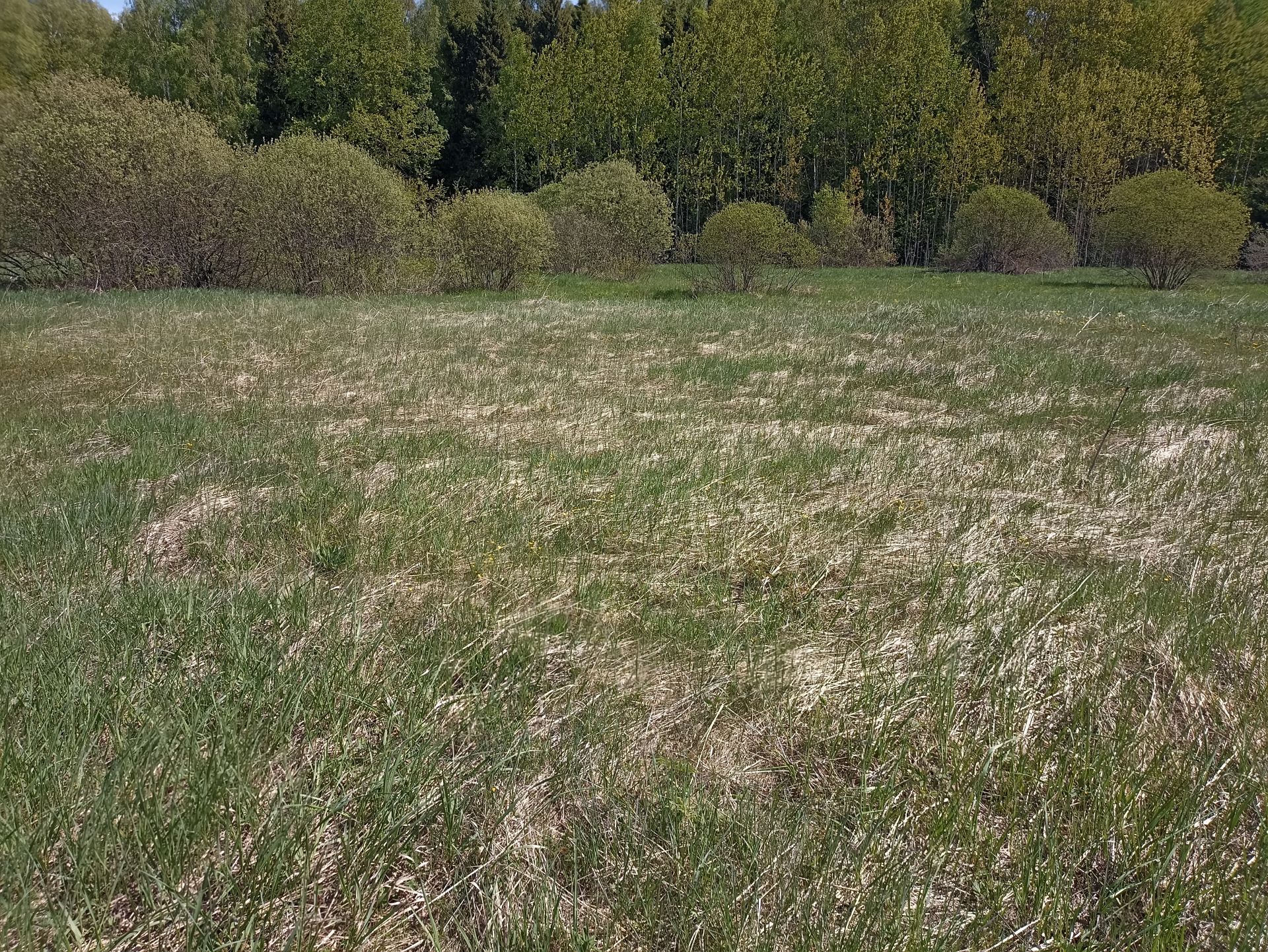 Земли поселения Московская область, Раменский городской округ, деревня  Булгаково – агентство недвижимости «Азбука недвижимости» Москва и МО