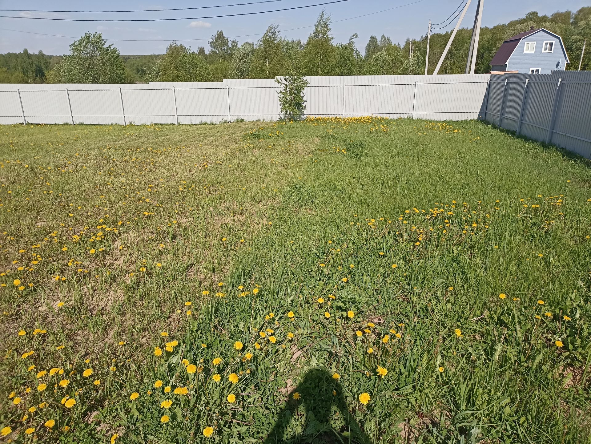 Земли поселения Московская область, городской округ Коломна, село Непецино, Весенняя улица