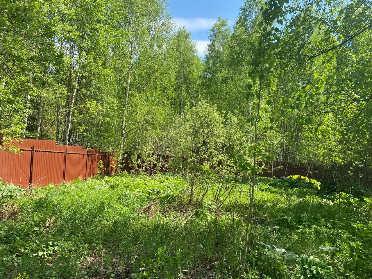 Земли поселения Московская область, Рузский городской округ, деревня Потапово, деревня Касиловка