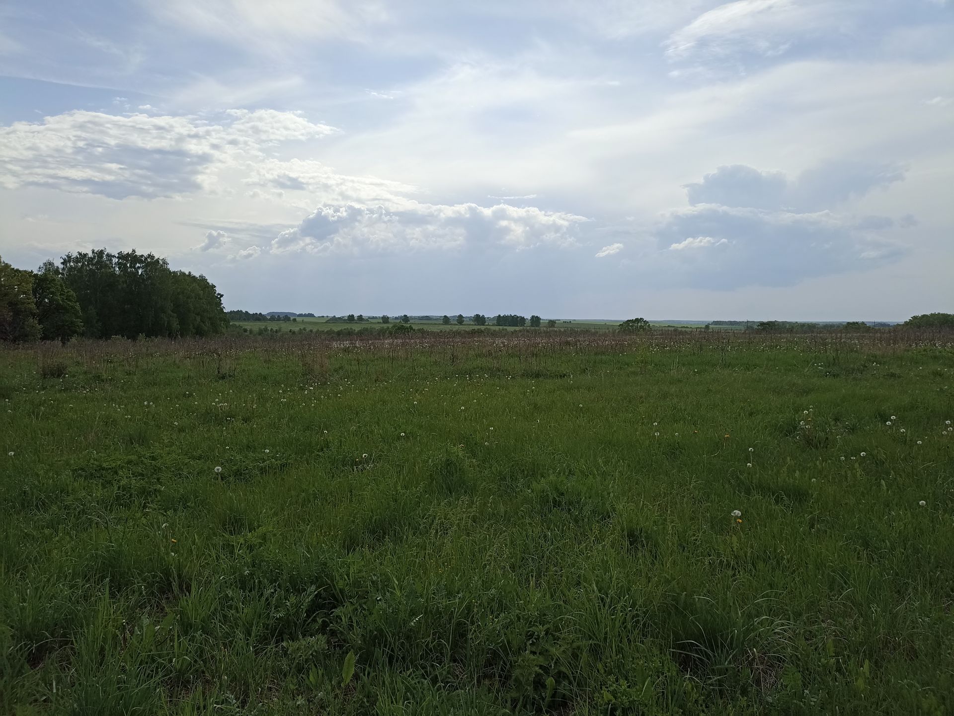 Земли поселения Московская область, городской округ Коломна, деревня Верхнее Хорошово