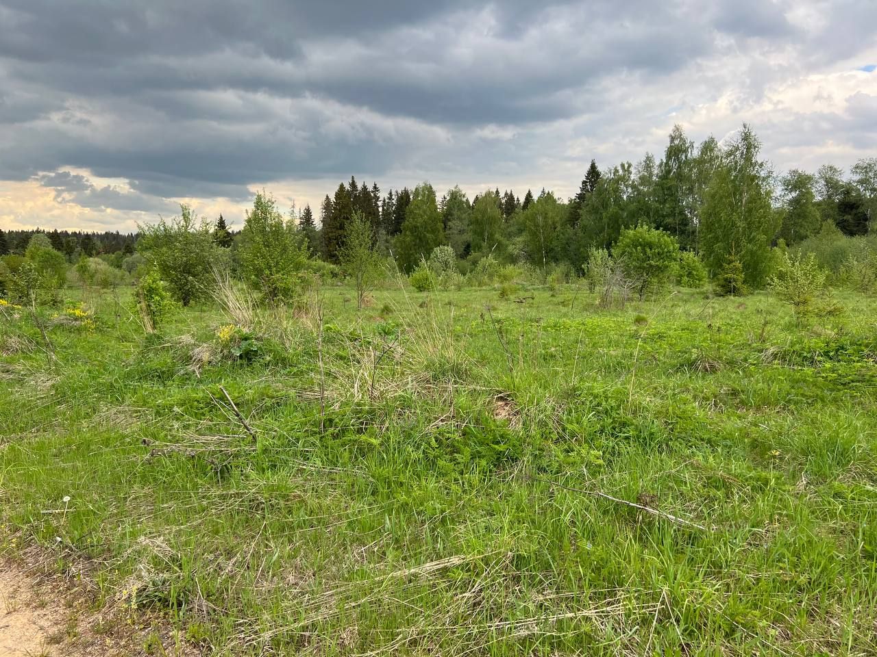 Земли сельхозназначения Московская область, городской округ Солнечногорск, коттеджный посёлок Лесное Подворье
