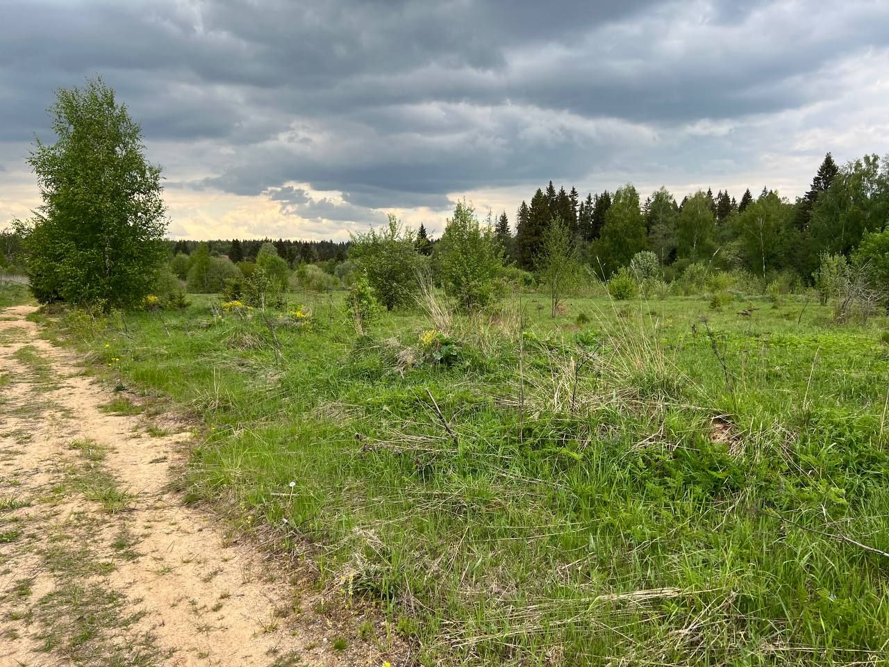 Земли сельхозназначения Московская область, городской округ Солнечногорск, коттеджный посёлок Лесное Подворье