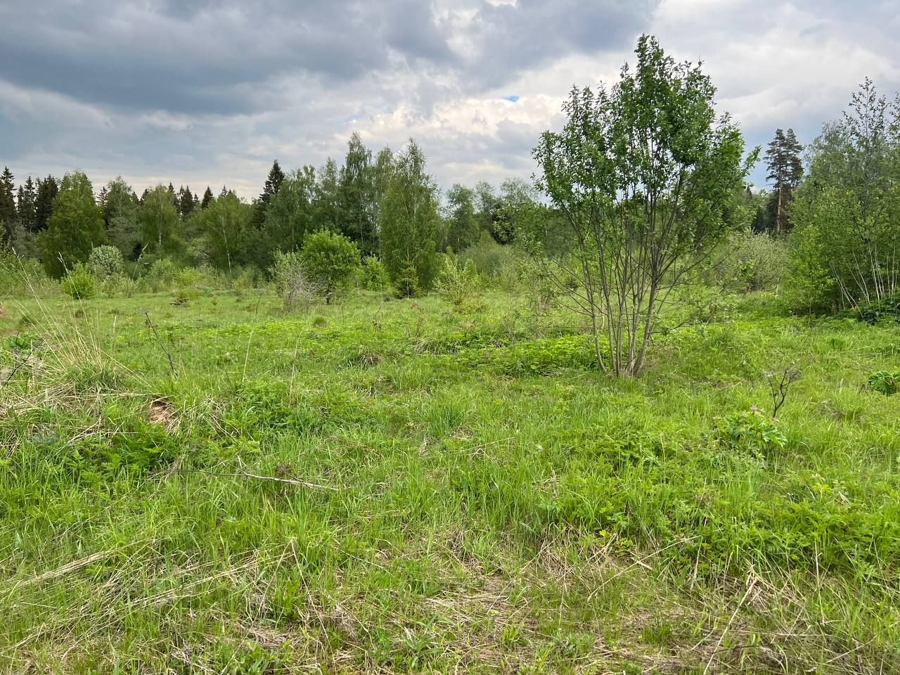 Купить Участок В Подмосковье Солнечногорский