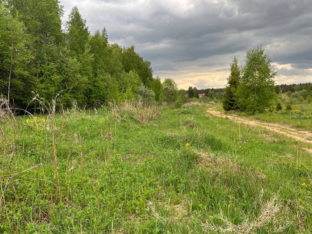 Земли сельхозназначения Московская область, городской округ Солнечногорск, коттеджный посёлок Лесное Подворье