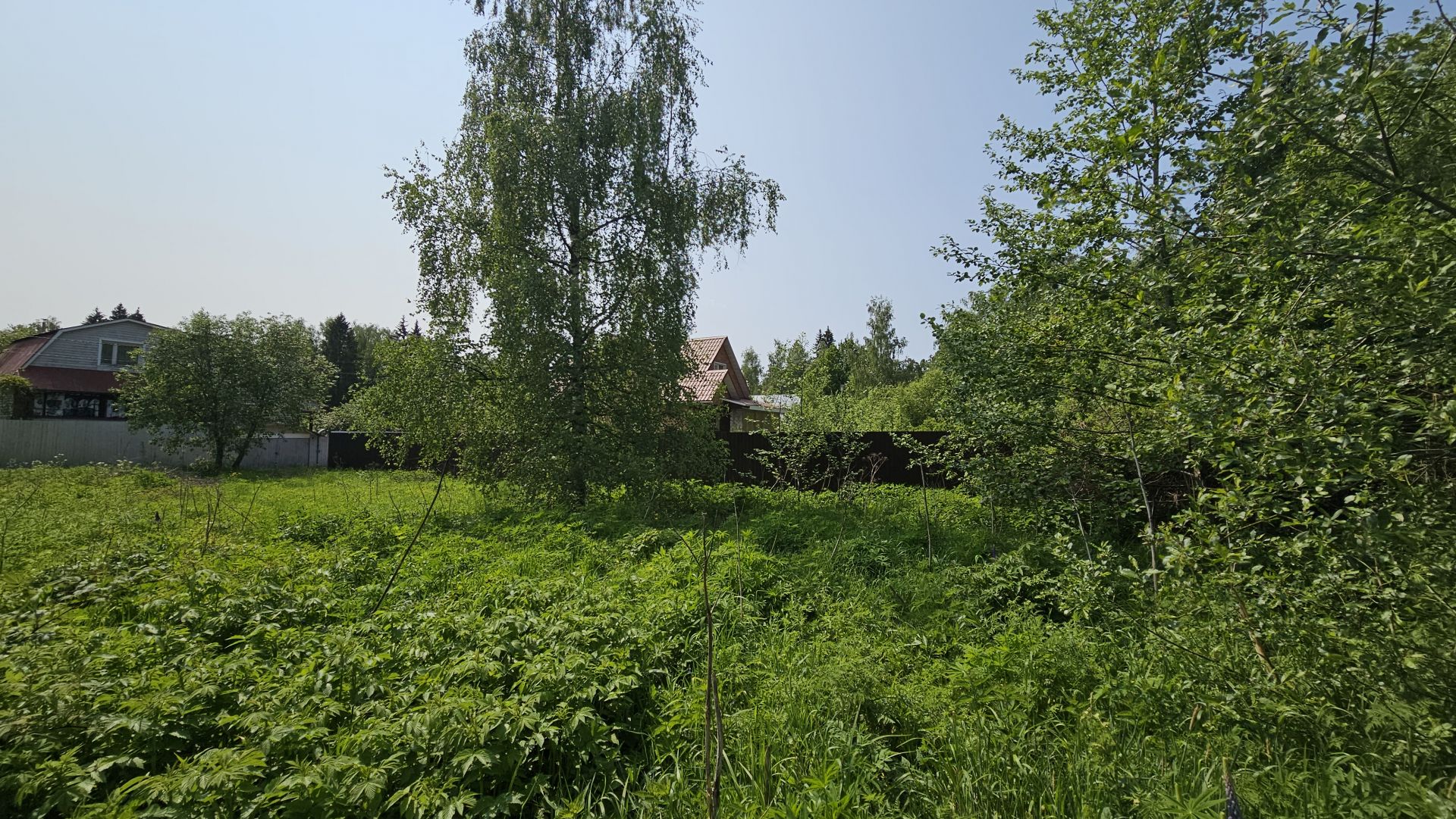 Земли сельхозназначения Московская область, городской округ Солнечногорск,  СНТ Лесные Поляны севернее д. Хоругвино – агентство недвижимости «Азбука  недвижимости» Москва и МО