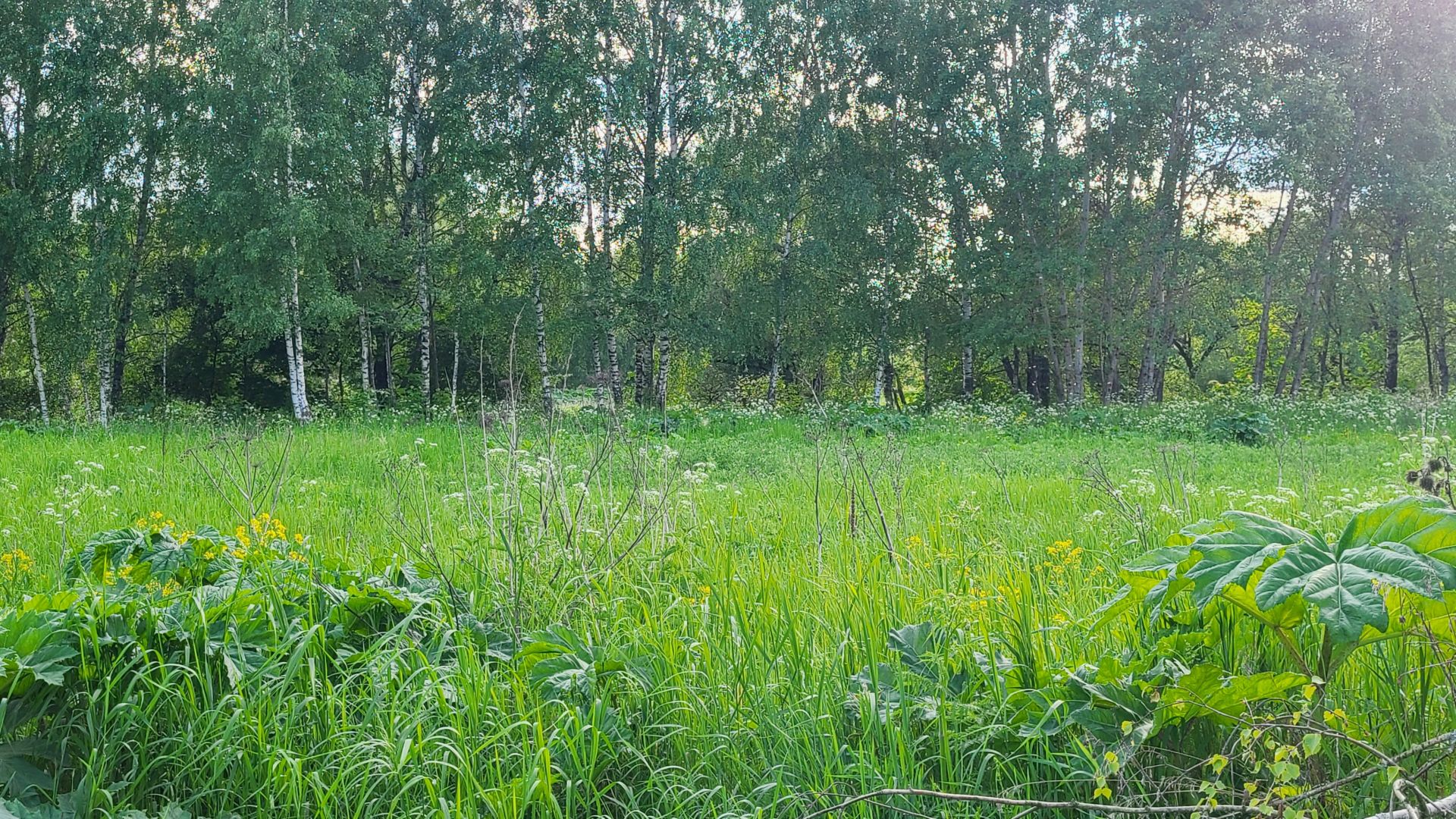 Земли сельхозназначения Московская область, городской округ Щёлково ...