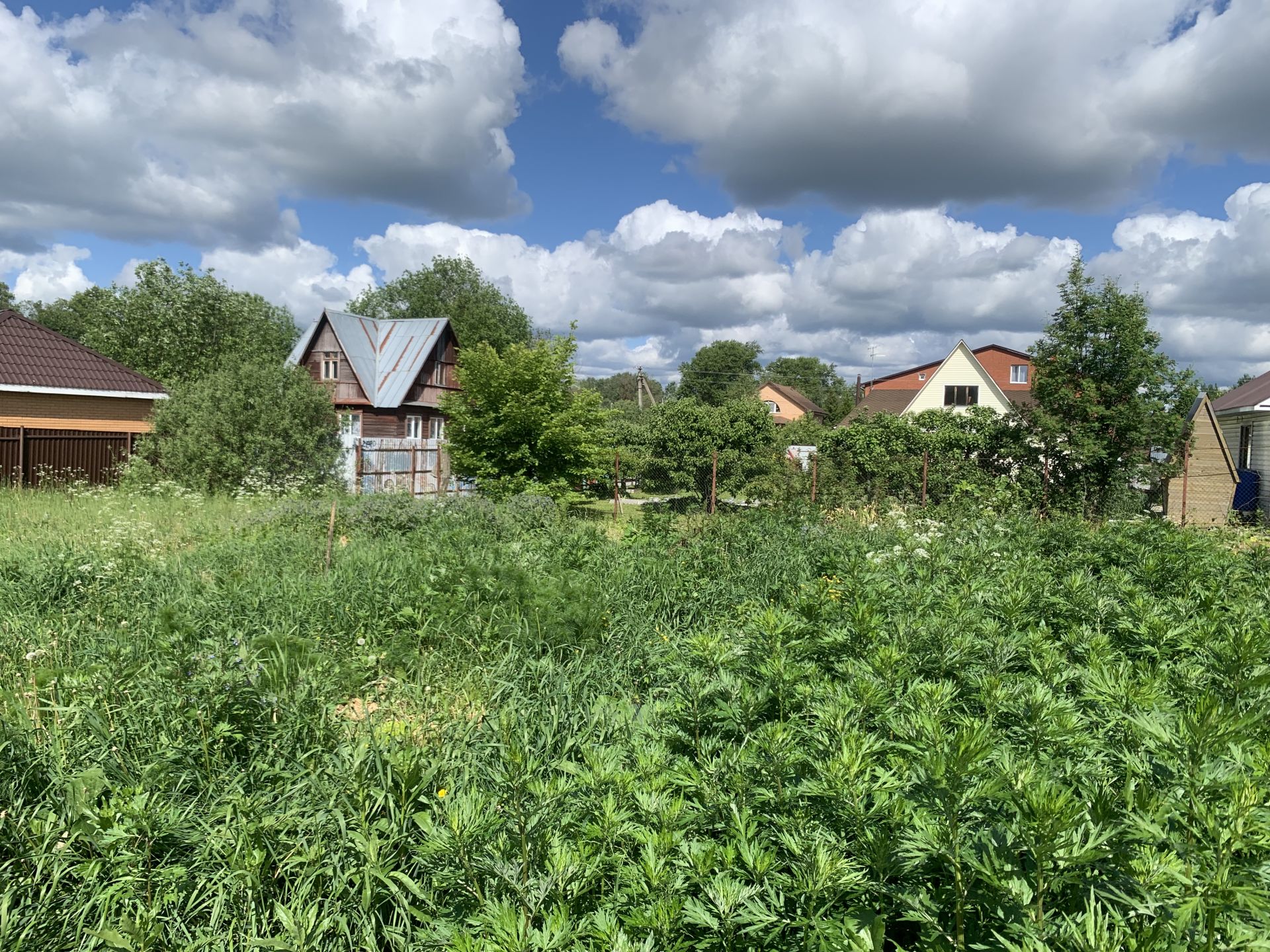 Земли поселения Московская область, городской округ Истра, деревня Дуплёво