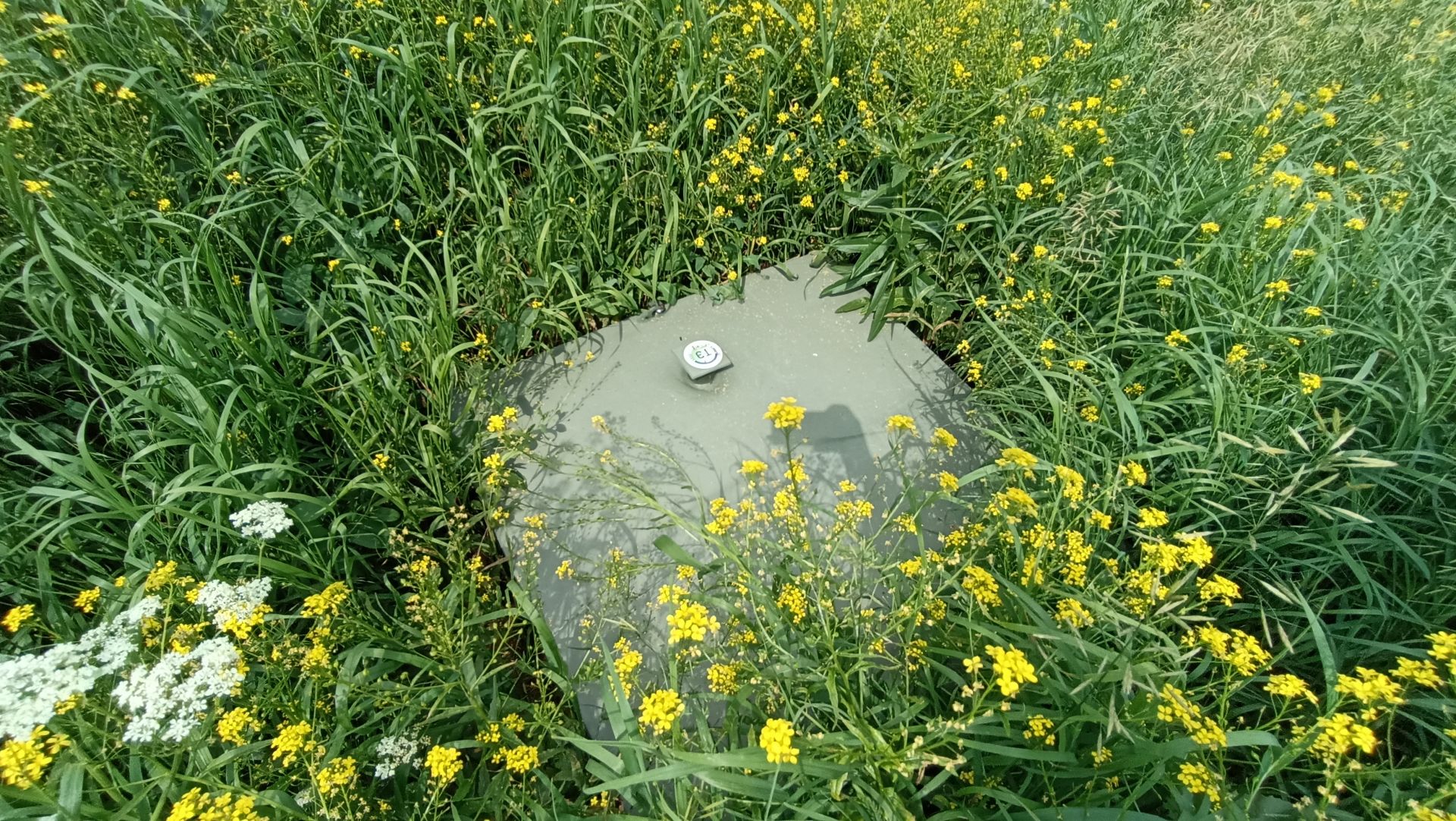 Дом Московская область, городской округ Воскресенск, дачный посёлок ...