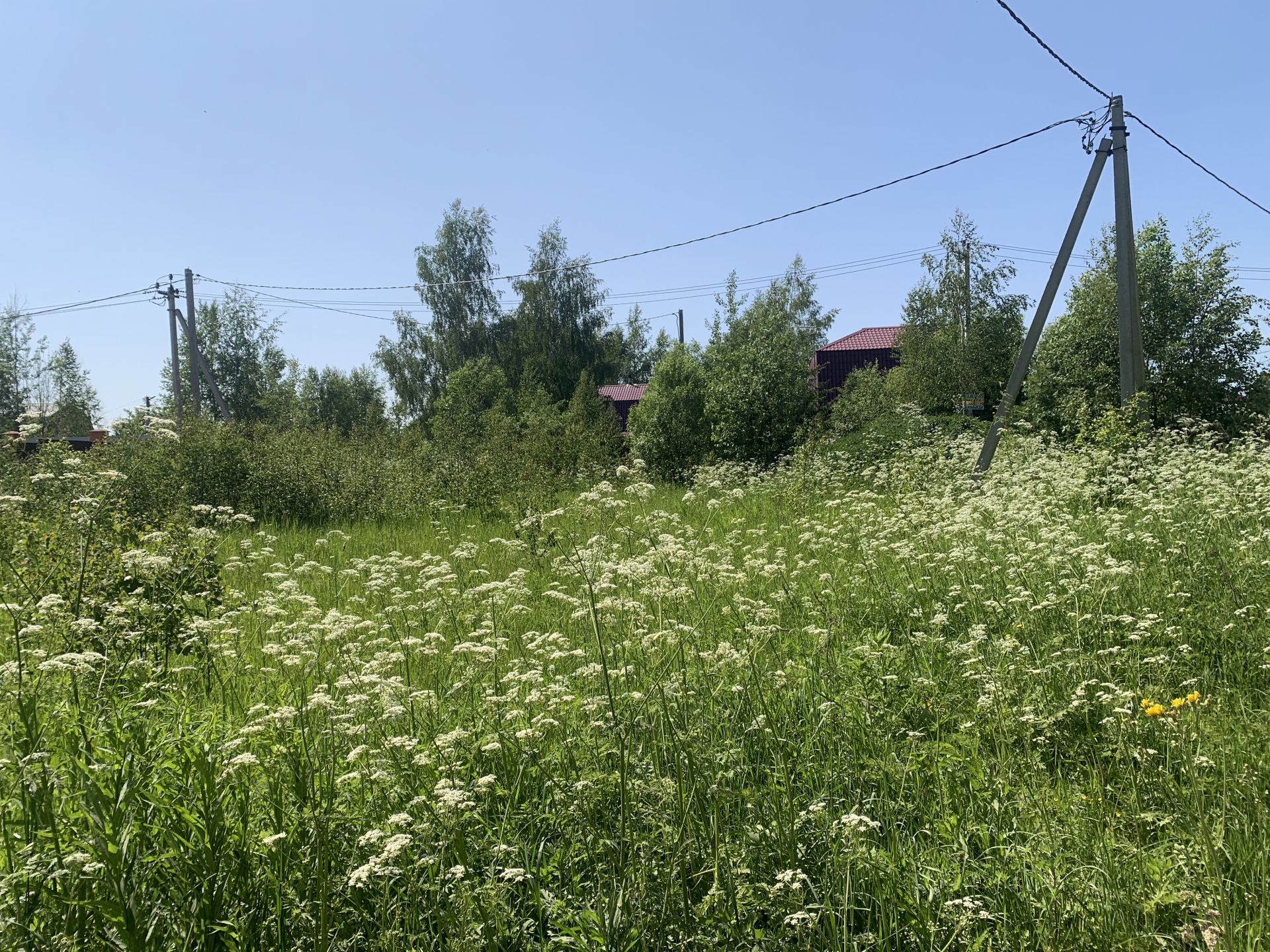 Земли сельхозназначения Московская область, городской округ Солнечногорск,  садовые участки Костино – агентство недвижимости «Азбука недвижимости»  Москва и МО