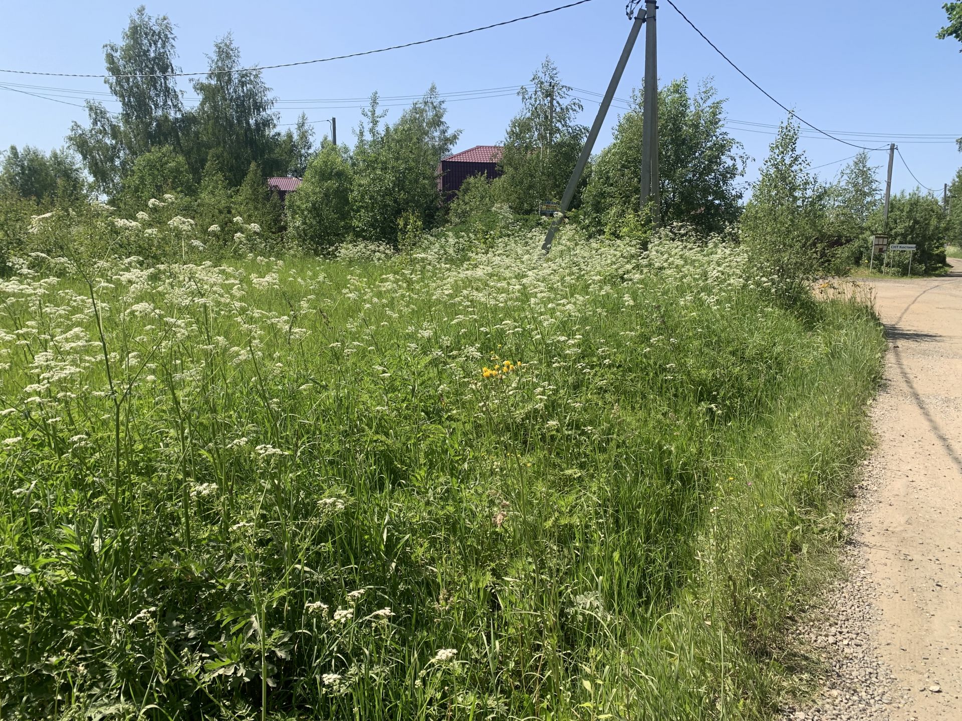 Купить Участок Дешевле Цена
