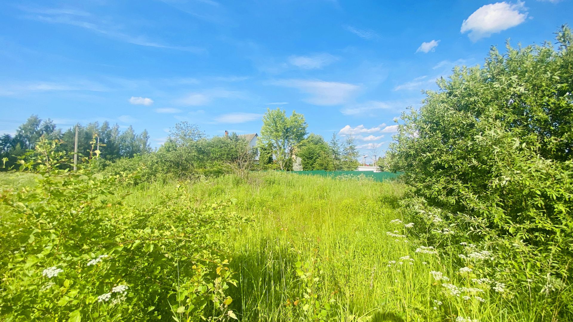 Земли поселения Московская область, Одинцовский городской округ, село Андреевское