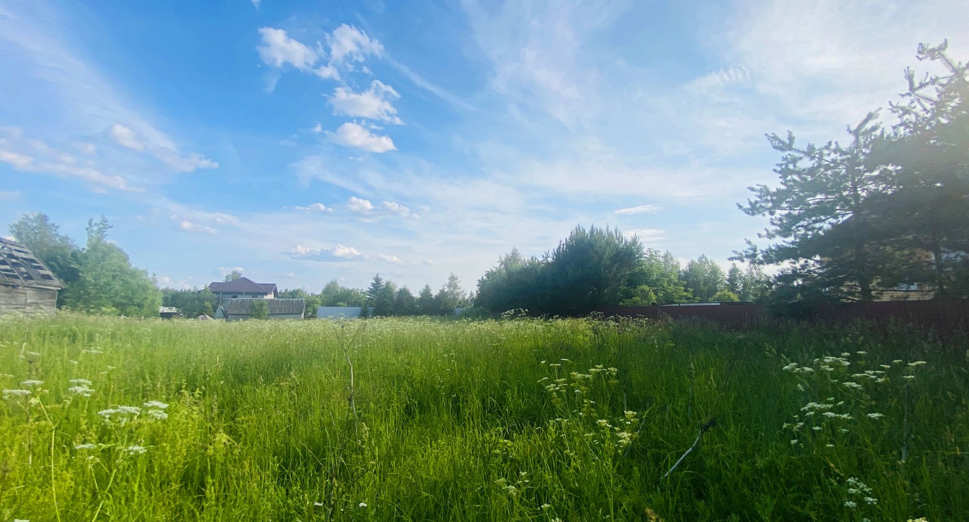Земли поселения Московская область, Одинцовский городской округ, село Андреевское