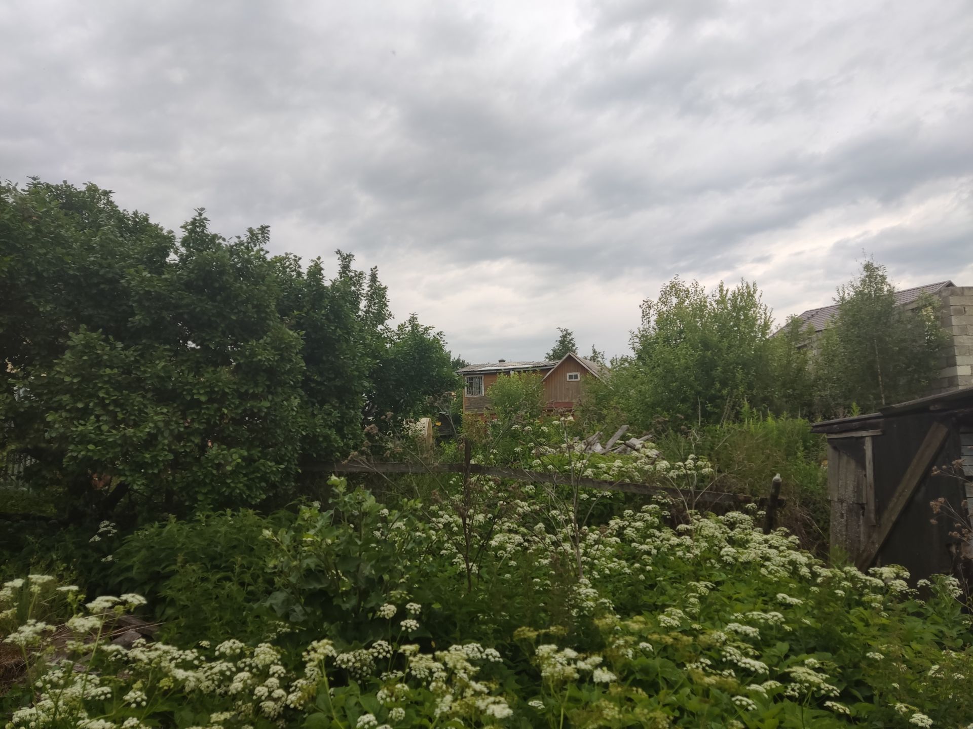 Земли поселения Московская область, Сергиев Посад, улица Пирогова