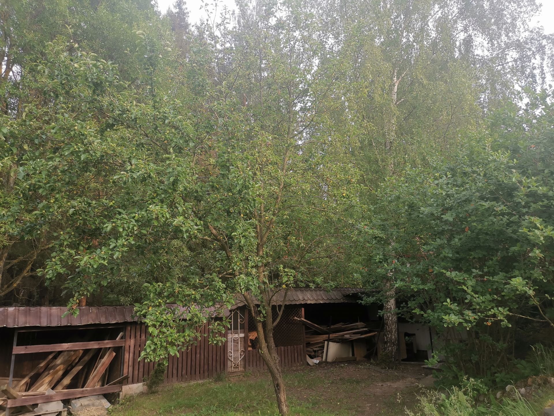 Дом Московская область, Одинцовский городской округ, деревня Аниково