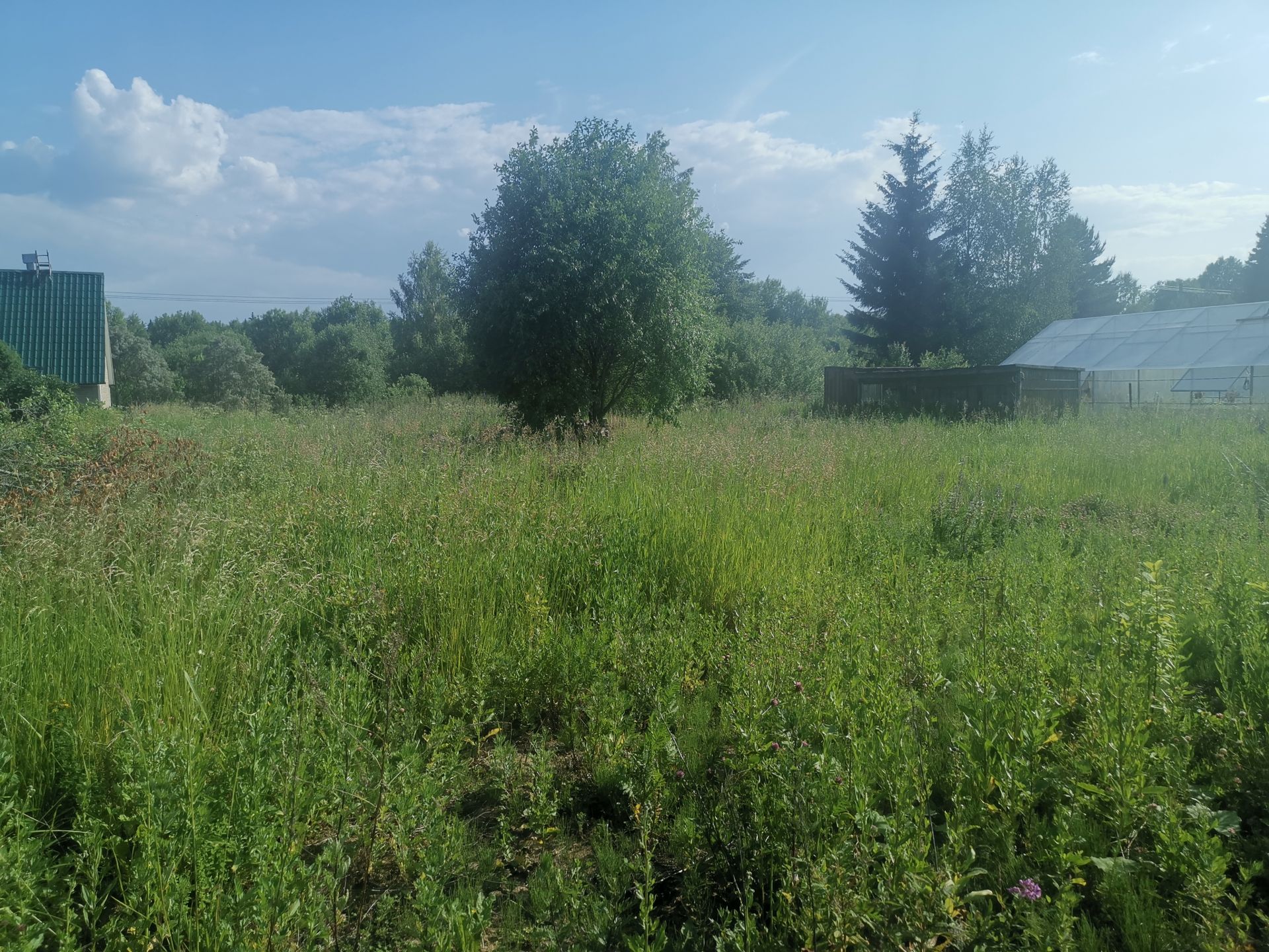 Земли поселения Московская область, Одинцовский городской округ, деревня  Торхово – агентство недвижимости «Азбука недвижимости» Москва и МО