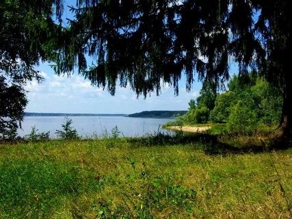 Земли поселения Московская область, Рузский городской округ, деревня Шелковка, улица Мира
