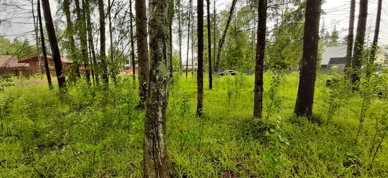 Земли сельхозназначения Московская область, городской округ Истра, коттеджный посёлок Лесные Дачи