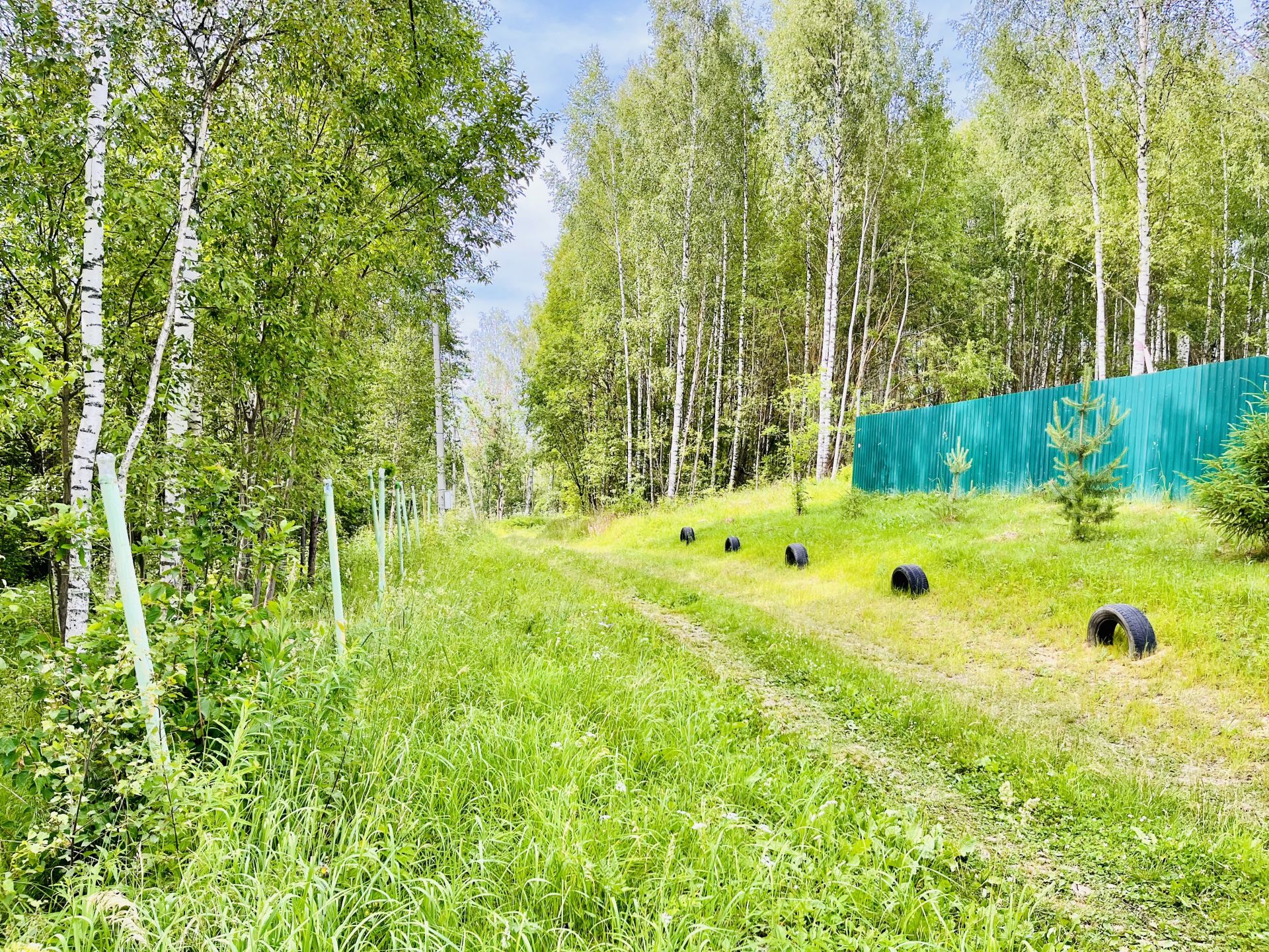 Земли сельхозназначения Московская область, Дмитровский городской округ, СНТ Полиграфист
