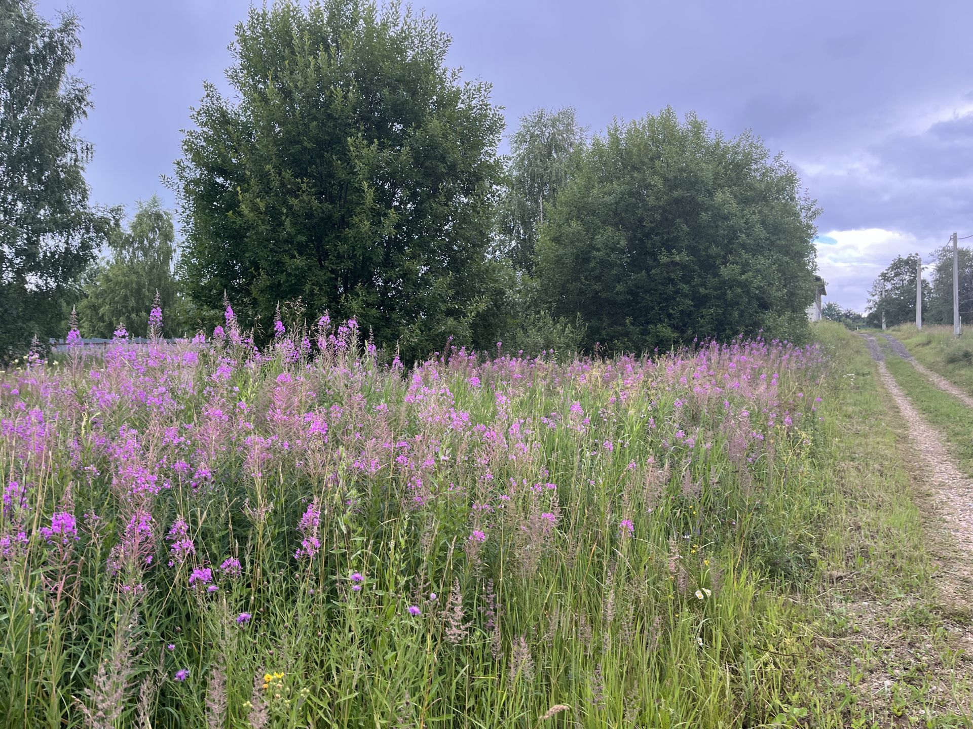 Купить Участок В Солнечногорске