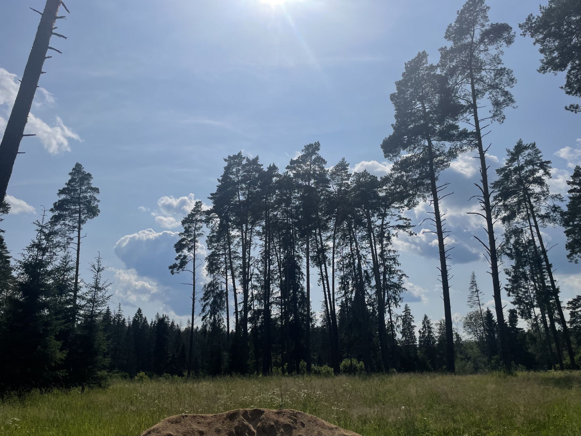 Дом Московская область, Рузский городской округ, посёлок Колюбакино