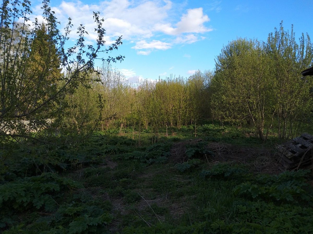 Земли поселения Московская область, городской округ Истра, село Онуфриево, улица Белова