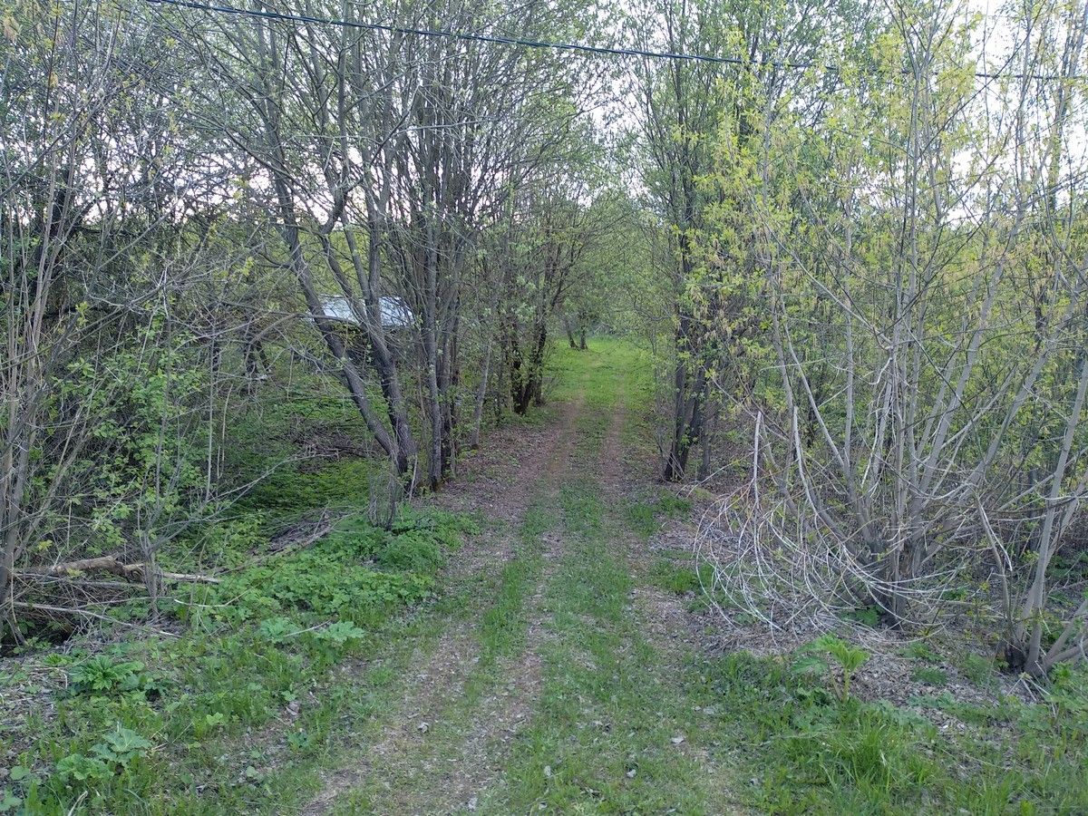 Земли поселения Московская область, городской округ Истра, село Онуфриево, улица Белова
